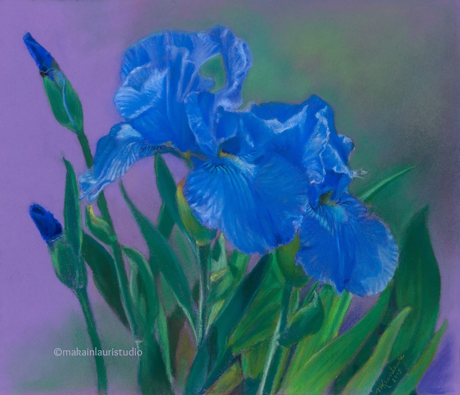 Blueness in the Dawn.jpg
