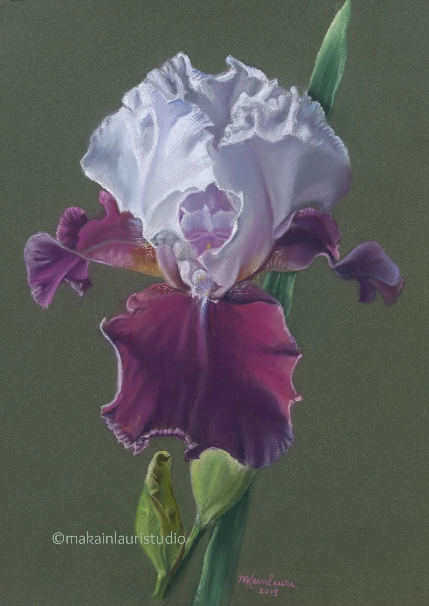 Purple and White Delight.jpg