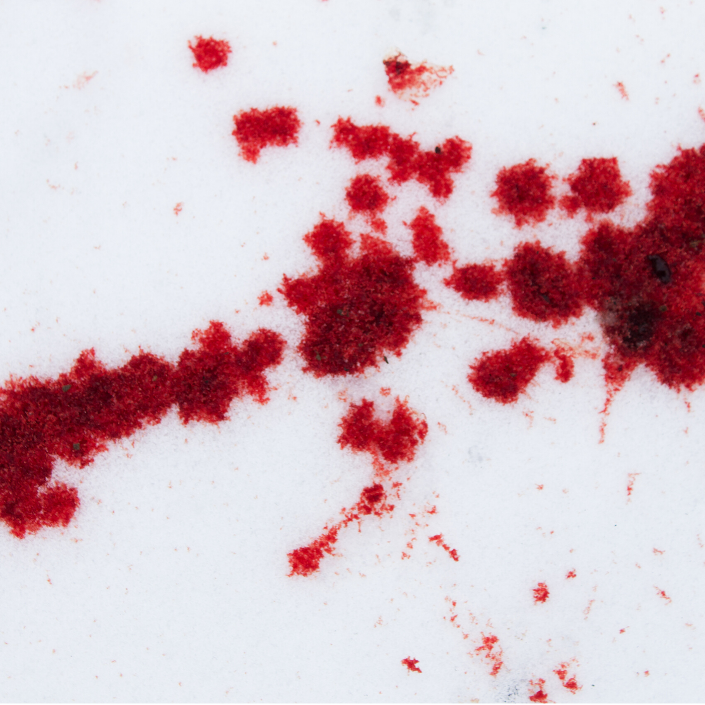 Red Winter cover art.PNG