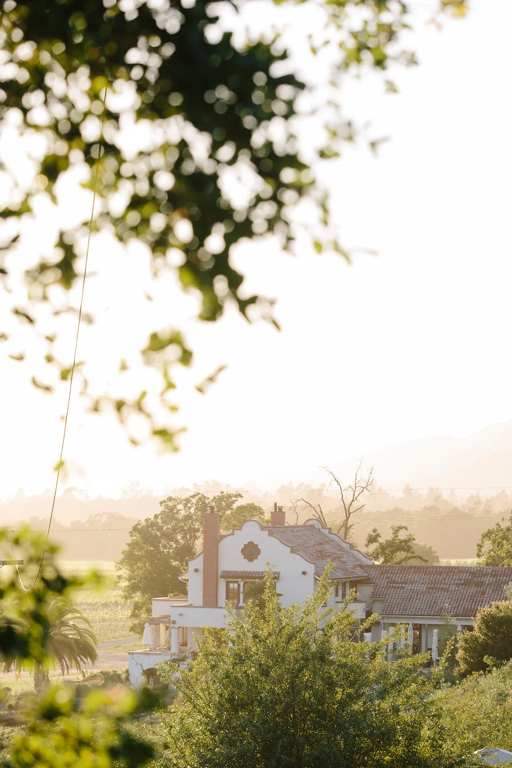 Simone-Anne-Wan-Mariola-Scribe-Winery-Wedding-Sneak-Peek-16.jpg