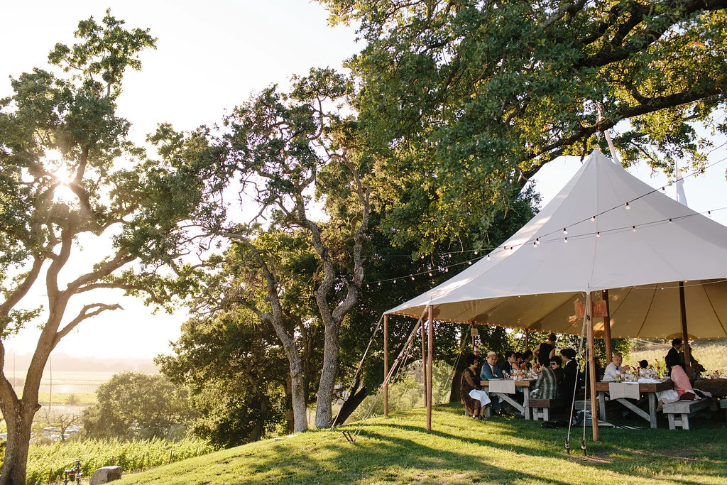 Simone-Anne-Wan-Mariola-Scribe-Winery-Wedding-Sneak-Peek-13.jpg