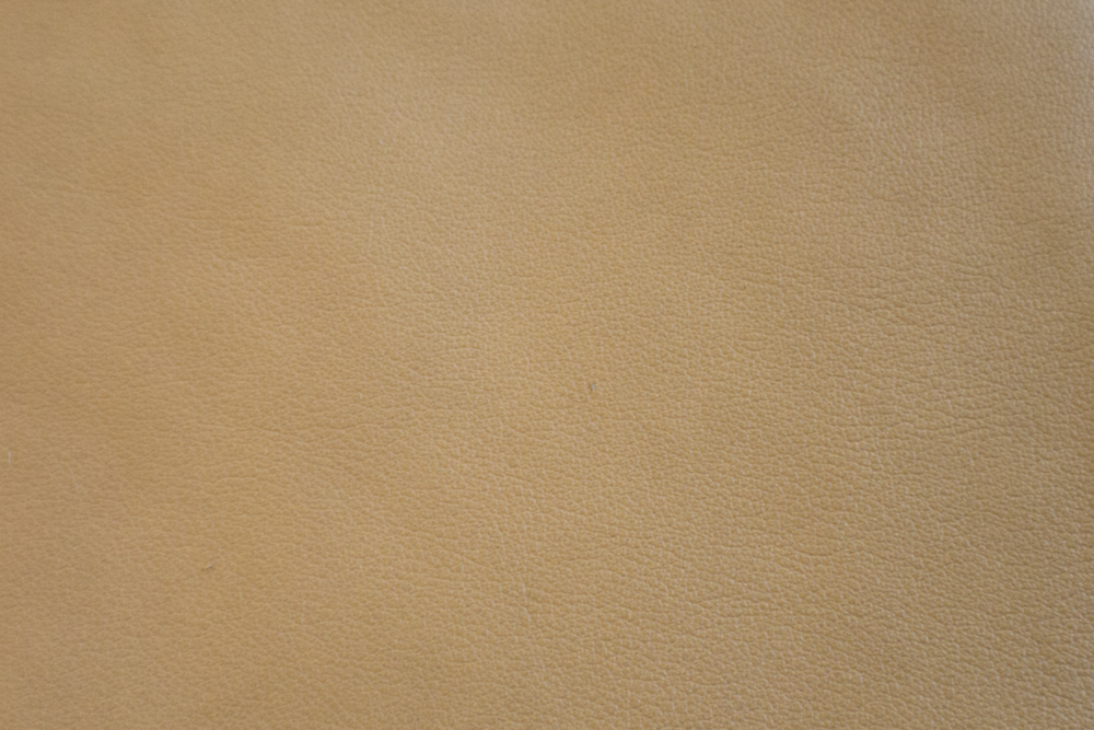 2-ADELAIDE_Cream.png