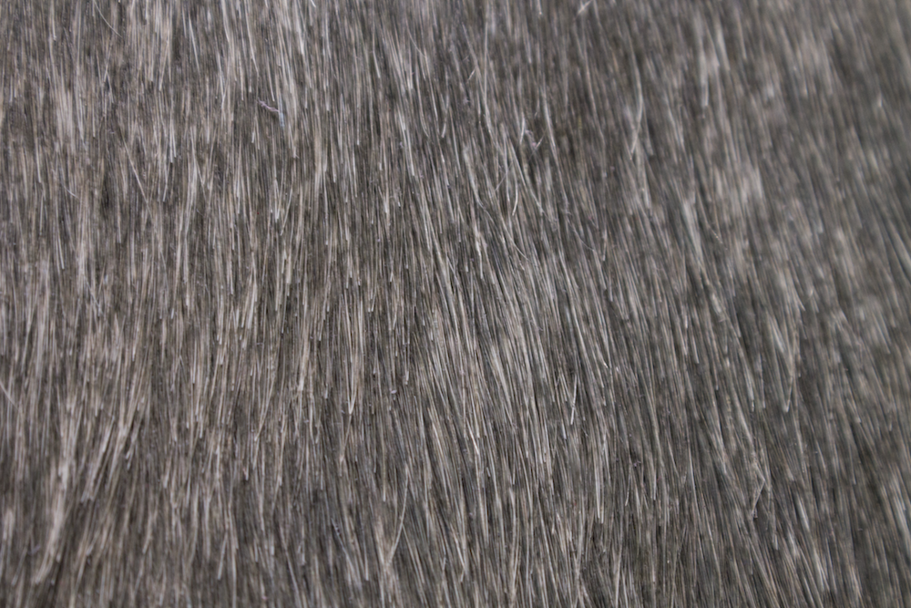 Hair On - Grey Fume (Light Shade) — Bellapelle