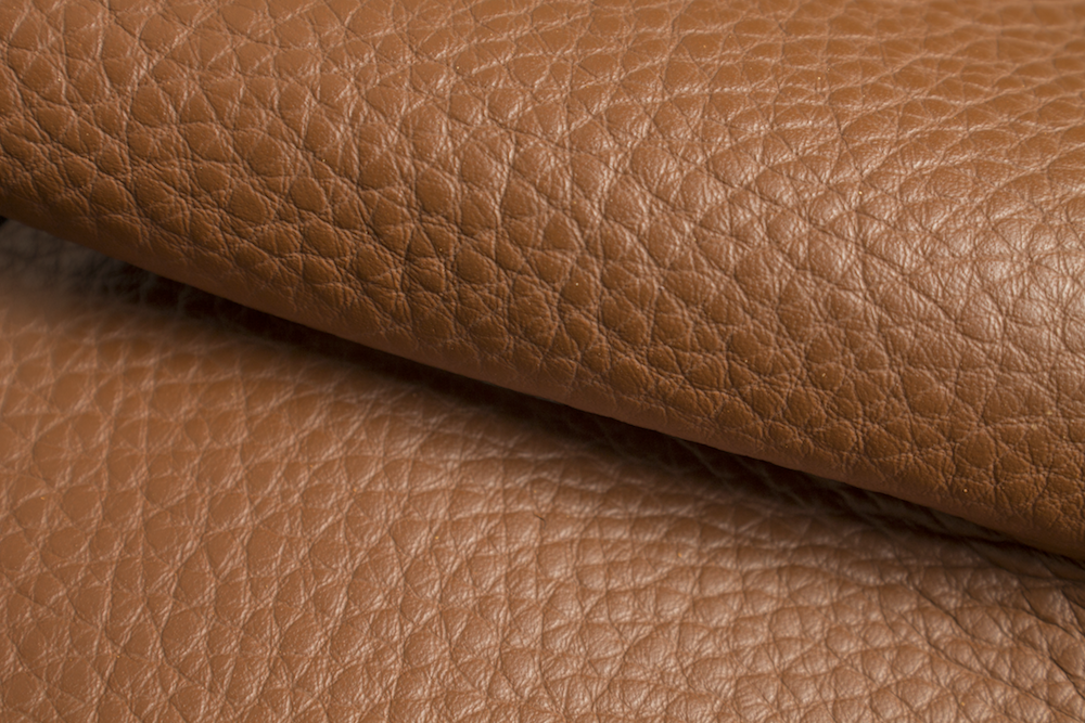 Colorado Brandy — Bellapelle