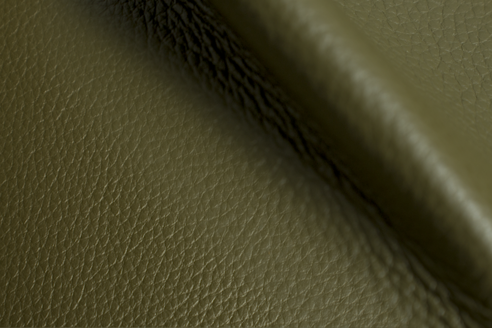 1-Colorado-Olive(2).png