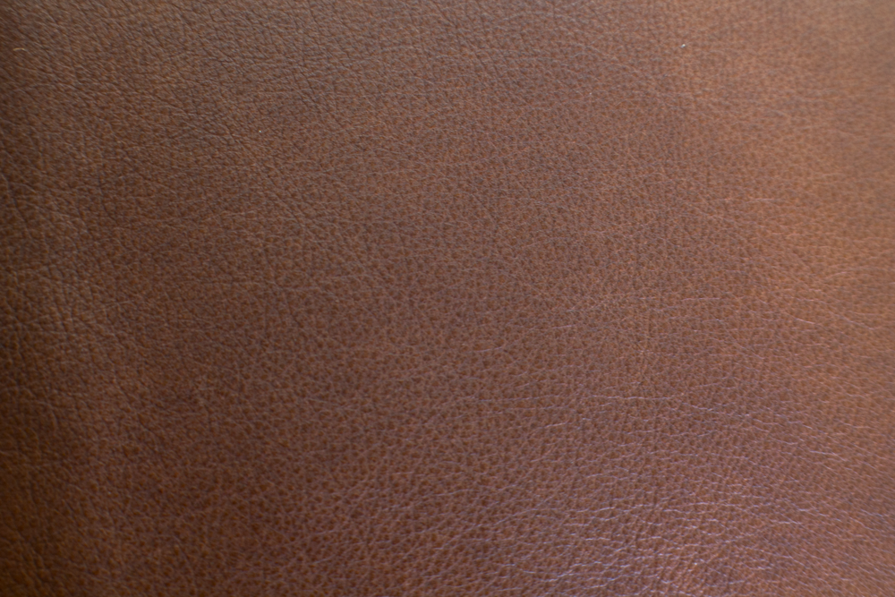 5-POMPEII_Brown(1).png