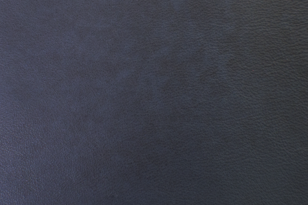 9-POMPEII_Navy(2).png