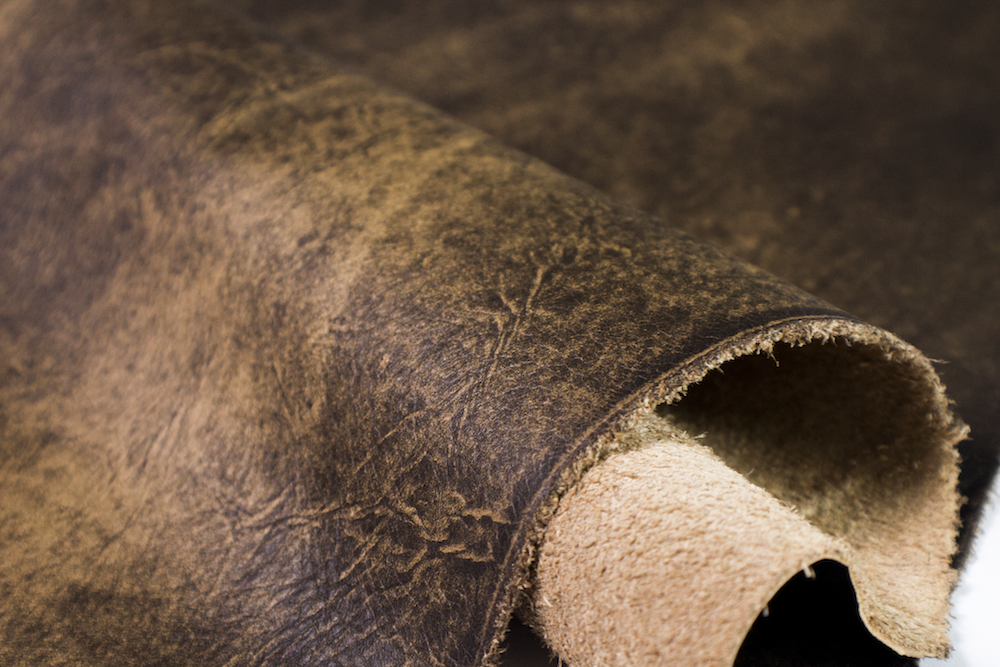 Hastings_Bark (2).png