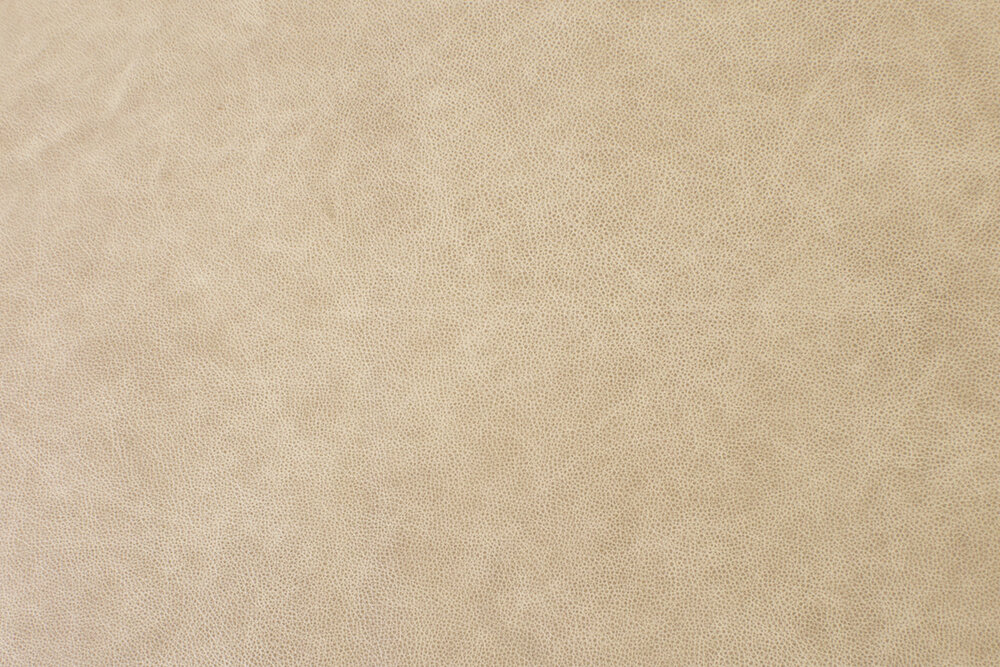 Annie Hall - Bisquit 