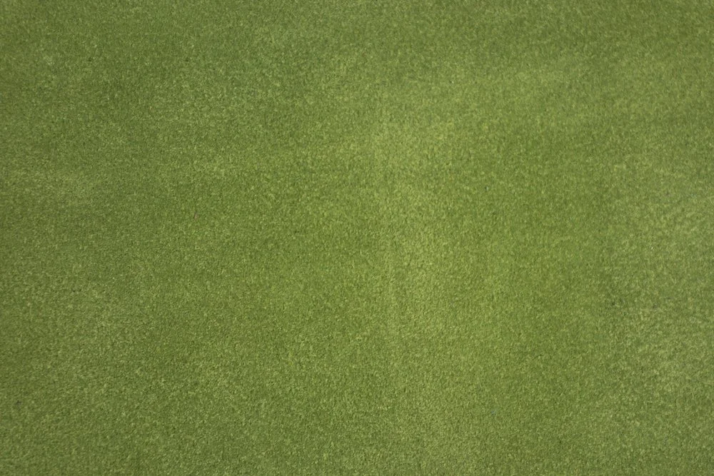 Sapelo Suede - Parakeet