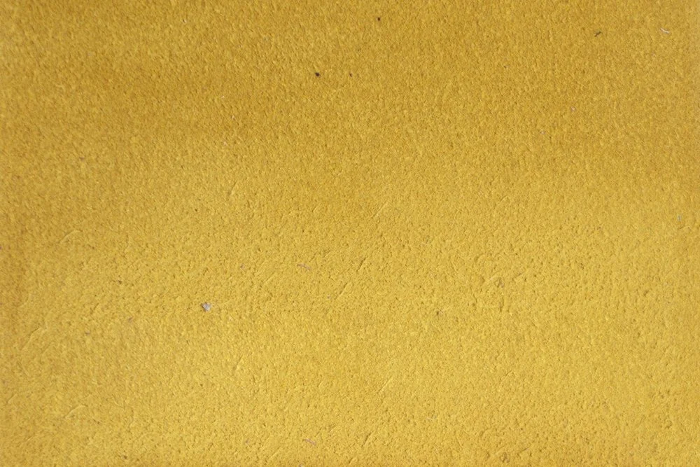 Sapelo Suede - Sunflower