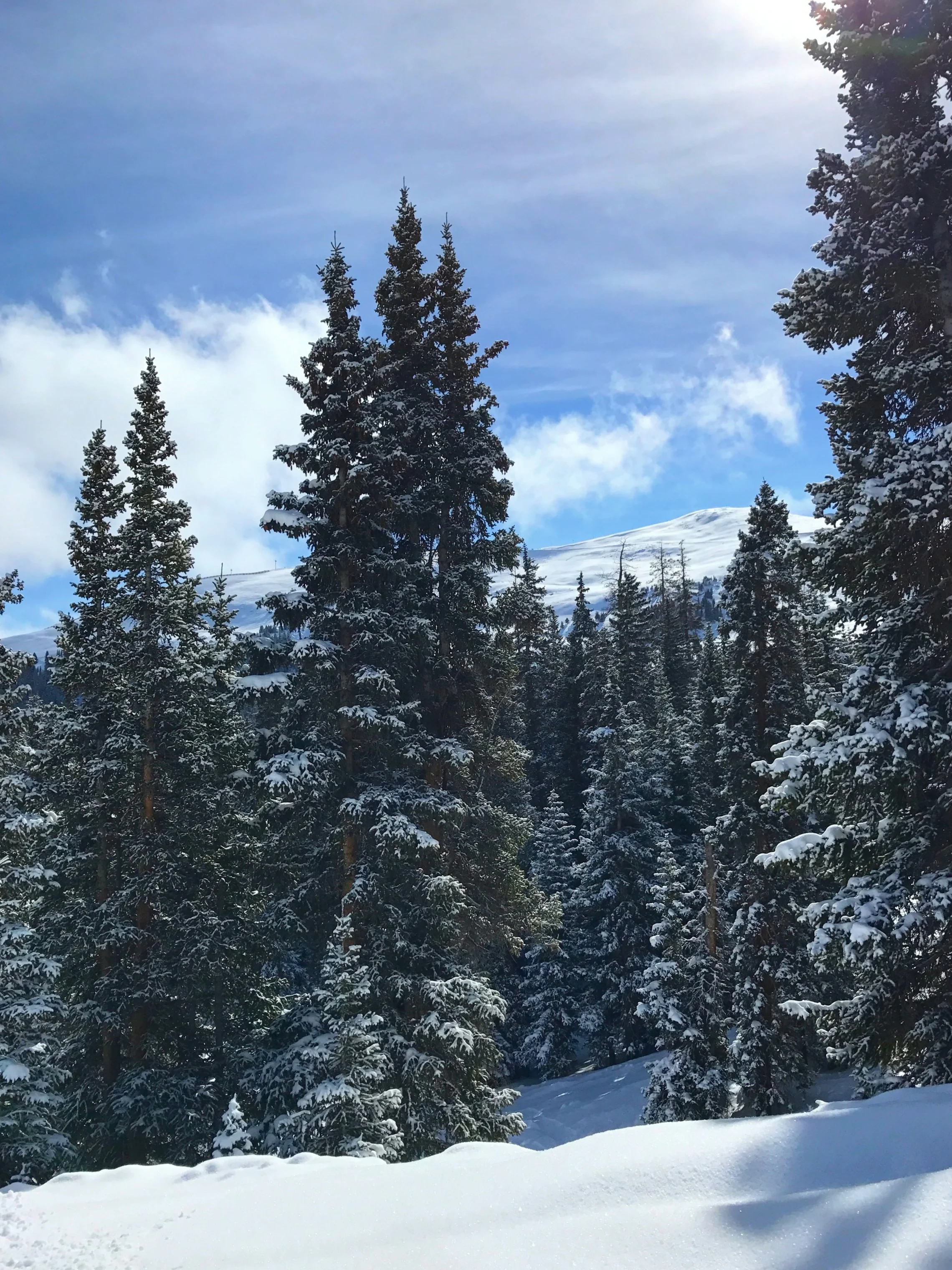 Ski Season 2016-2017 || part2