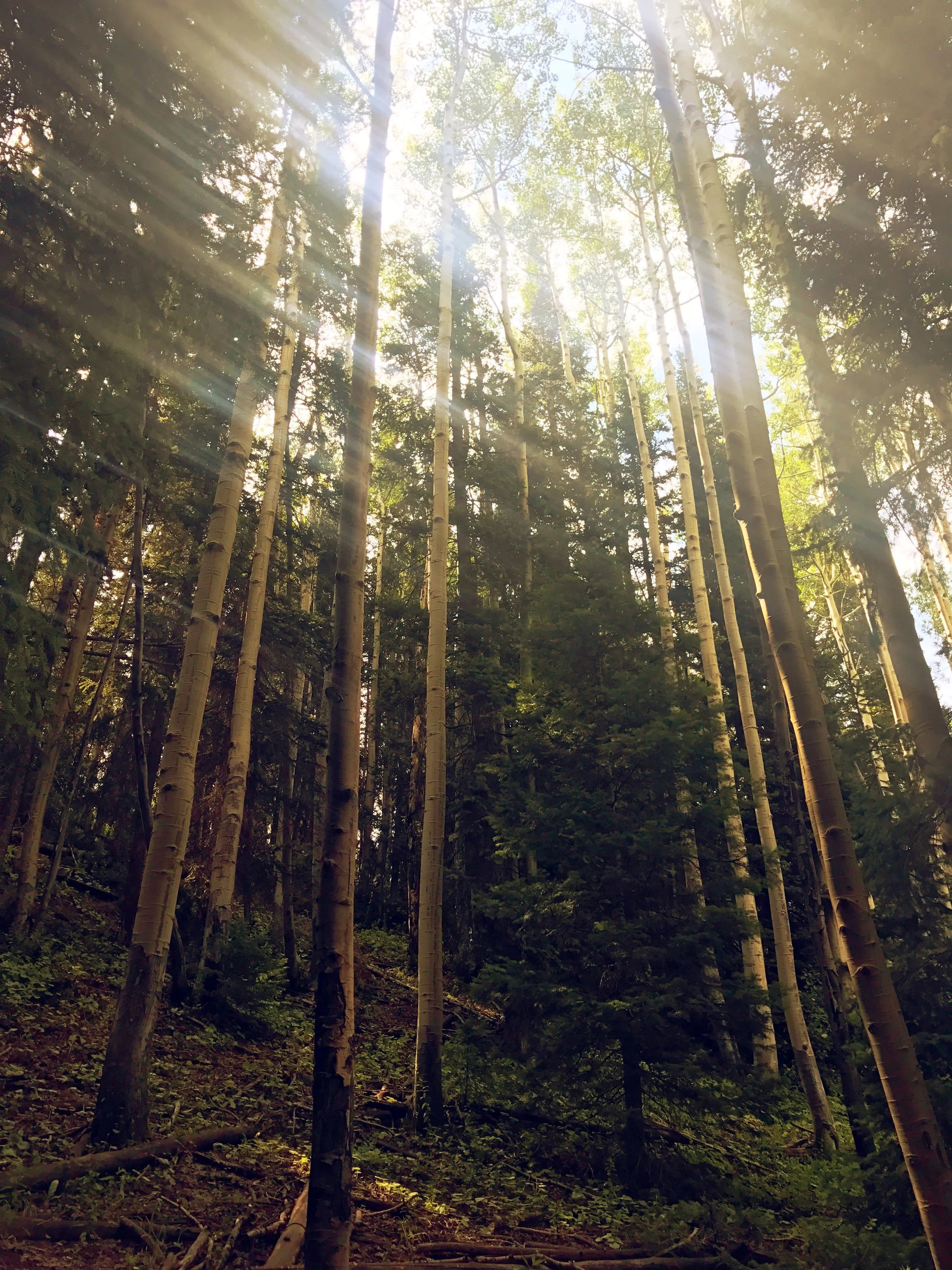 Colorado Day Road Trip 8.2.17