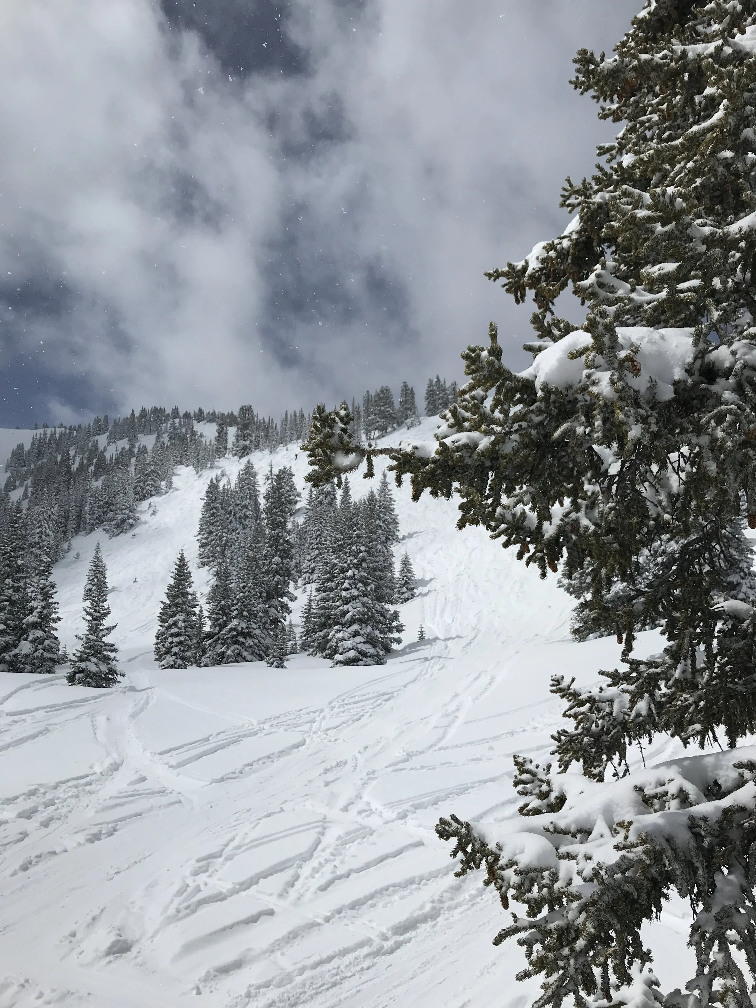 Ski Season 2017-2018