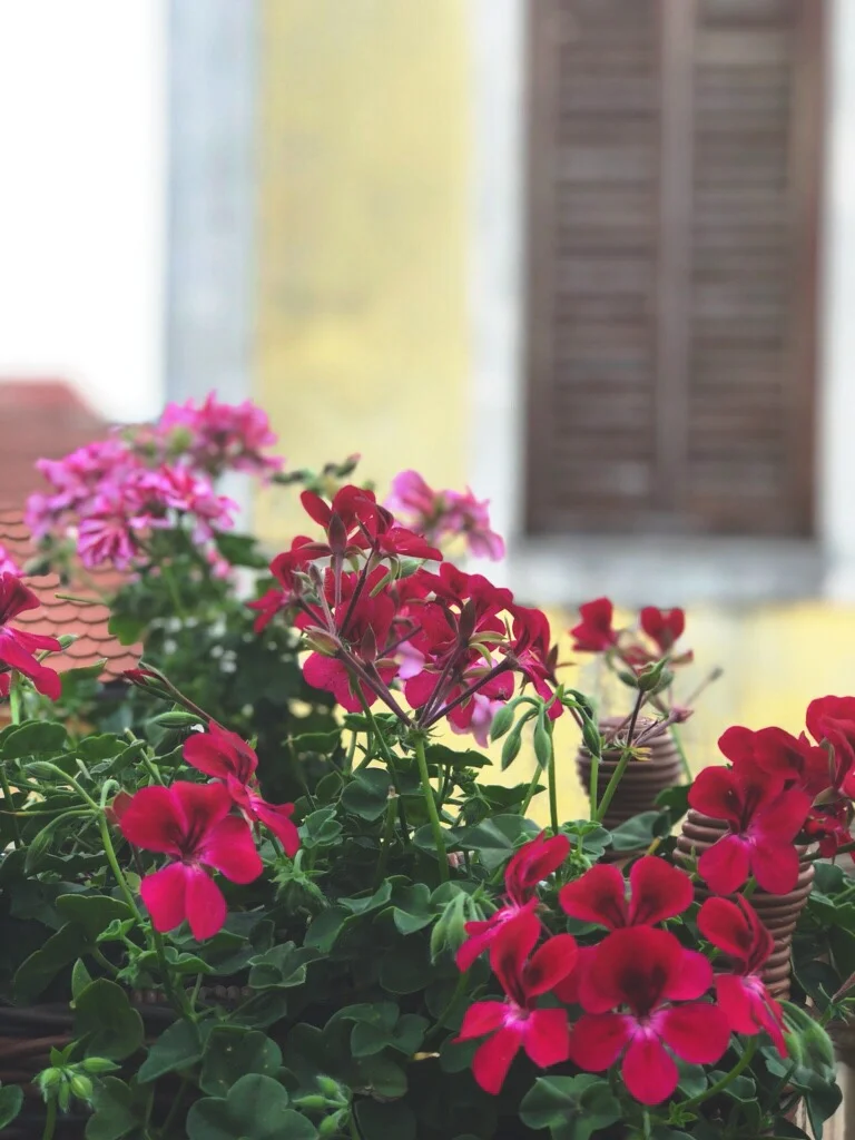 Berlin, Prague, Krakow, Budapest | July 2018