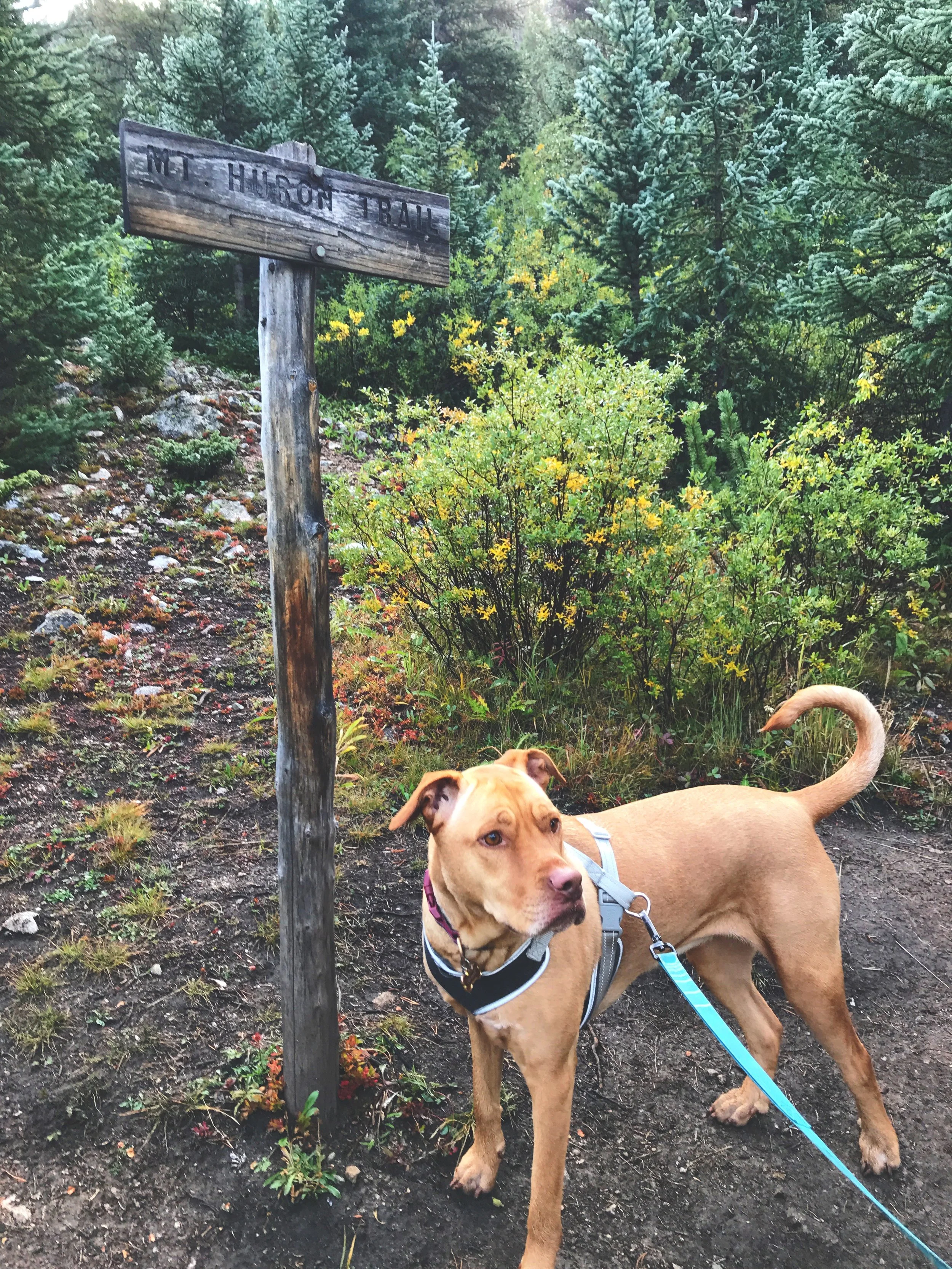 August + September 2018