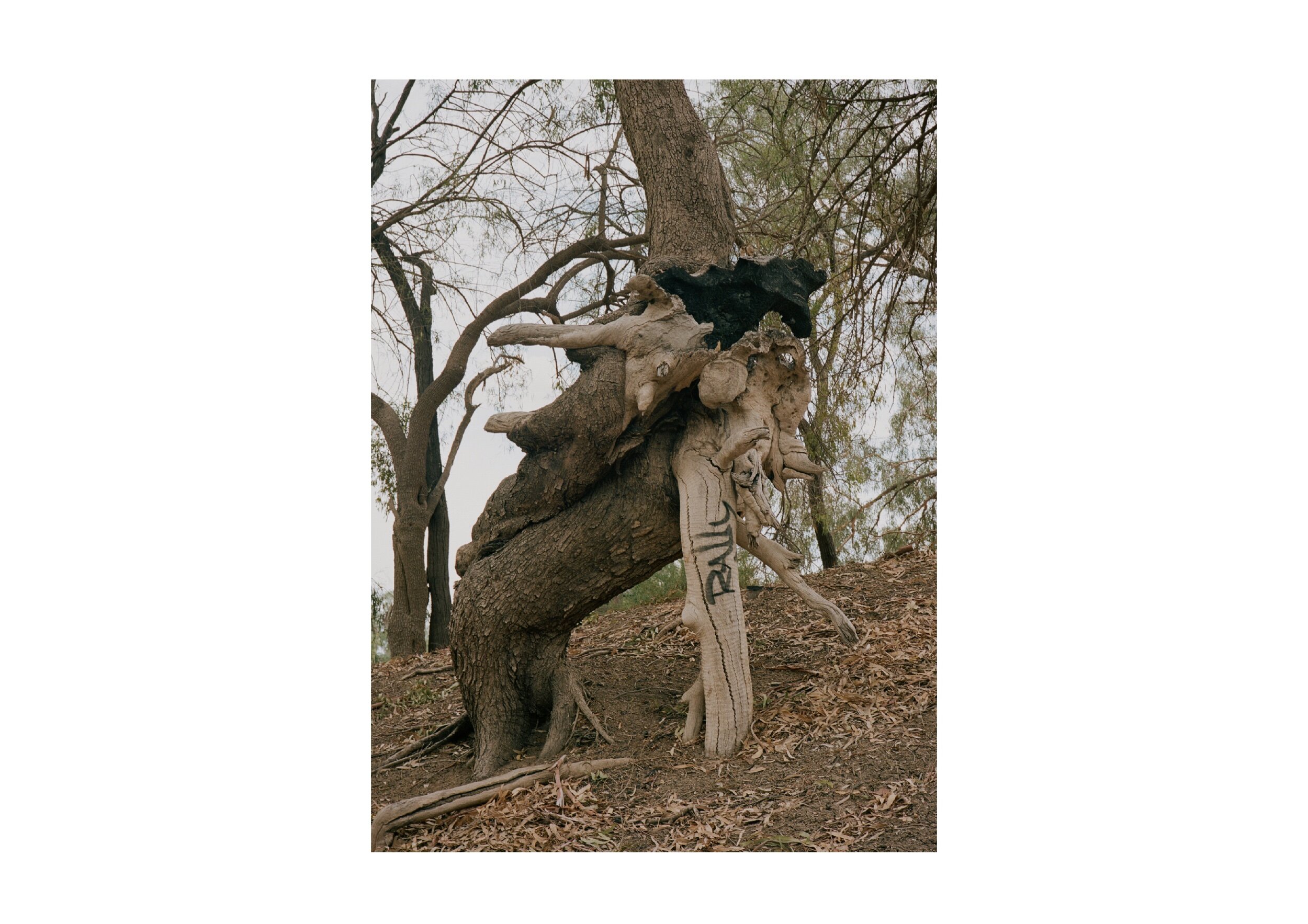 Location- Walgett, NSW Date-2018