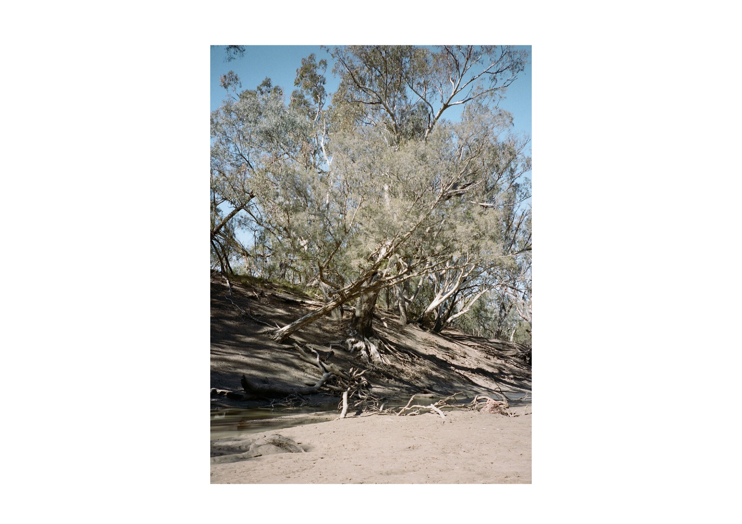 Location- Walgett, NSW Date- 2018