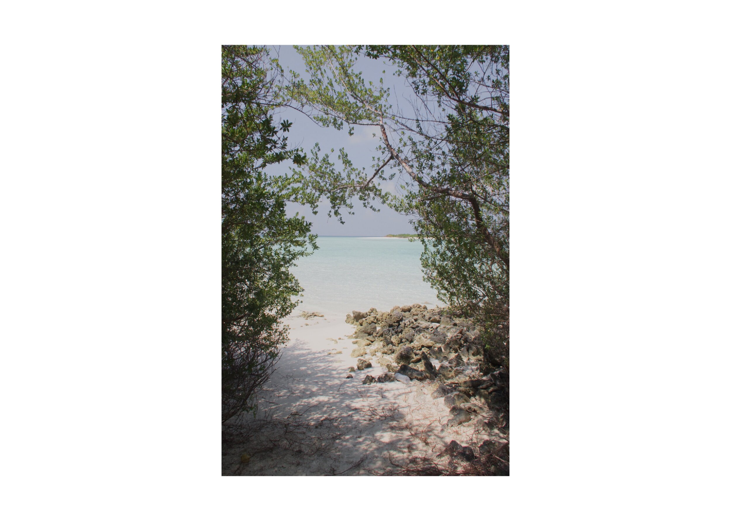  Location- Rasdhoo  Date-2018 