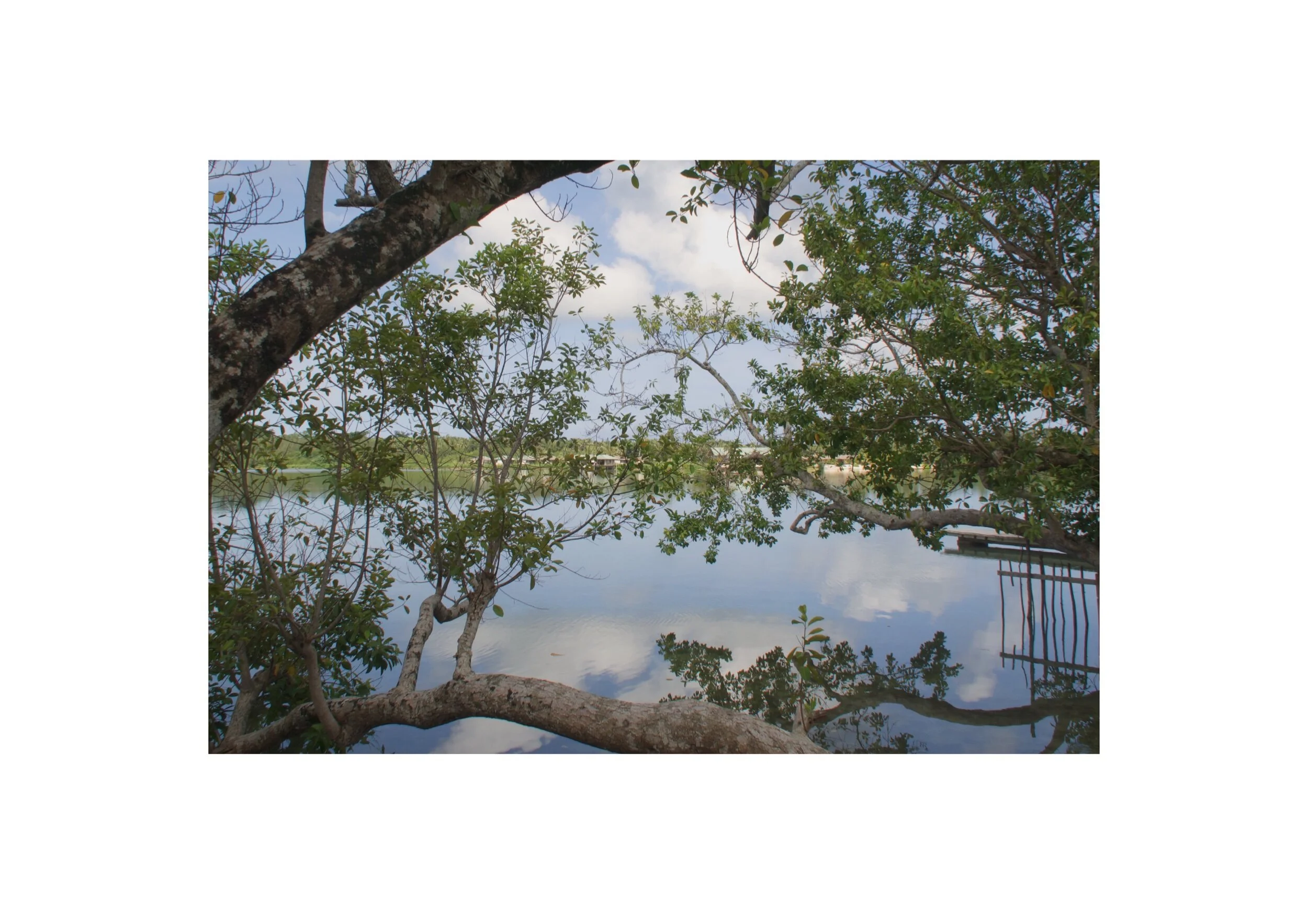  Location- Port Vila  Date- 2018 