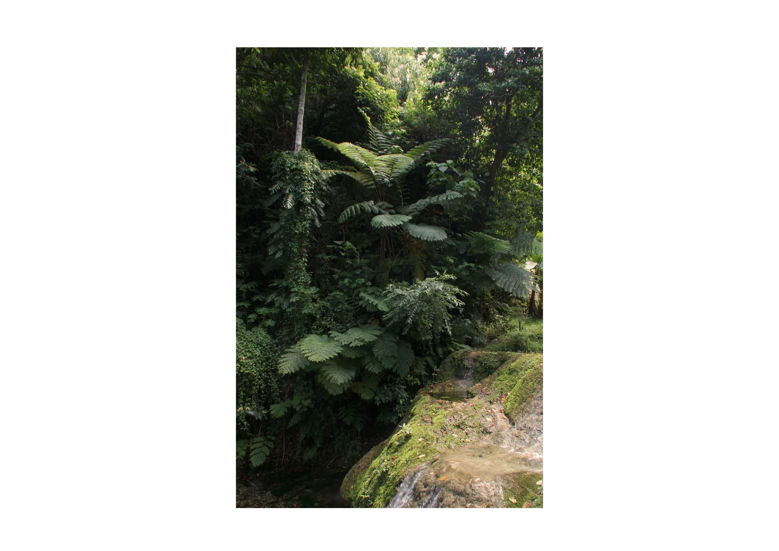  Location- Port Vila  Date- 2018 