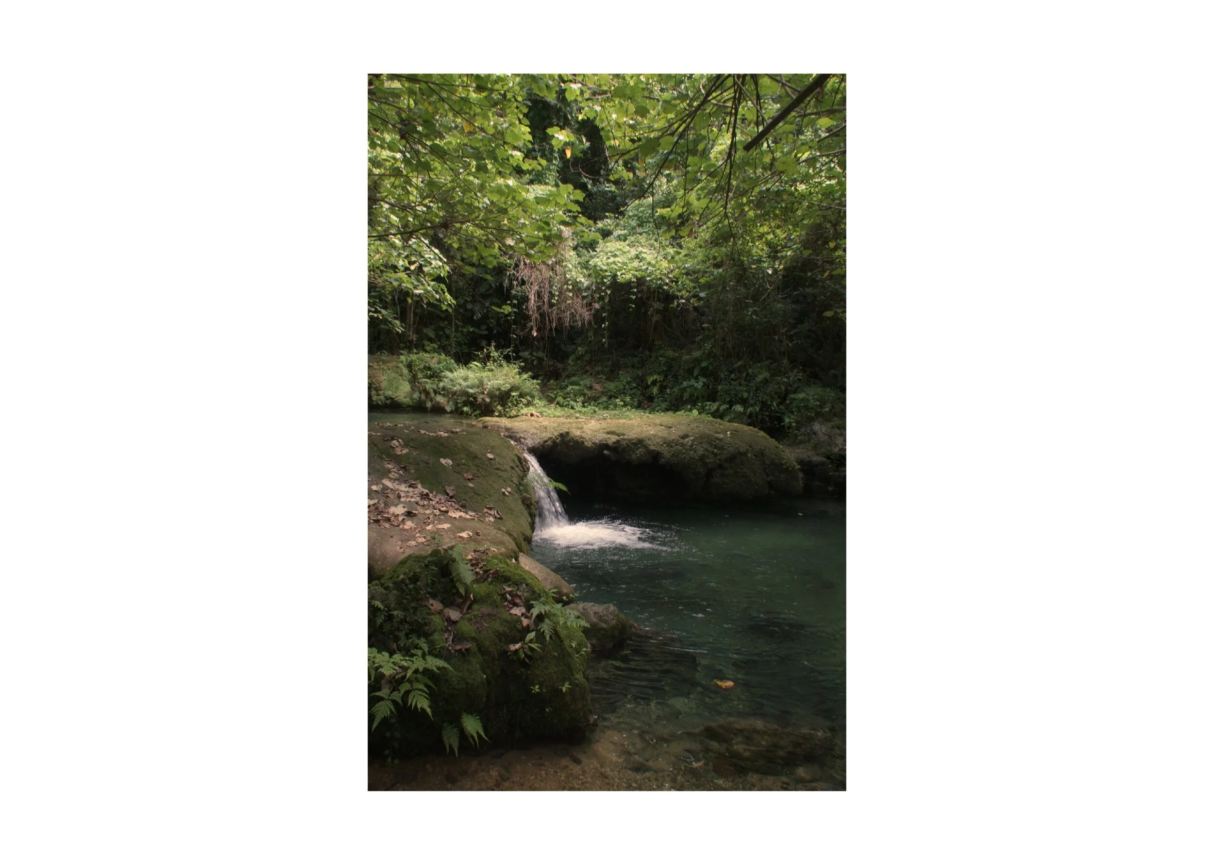  Location- Port Vila  Date- 2018 