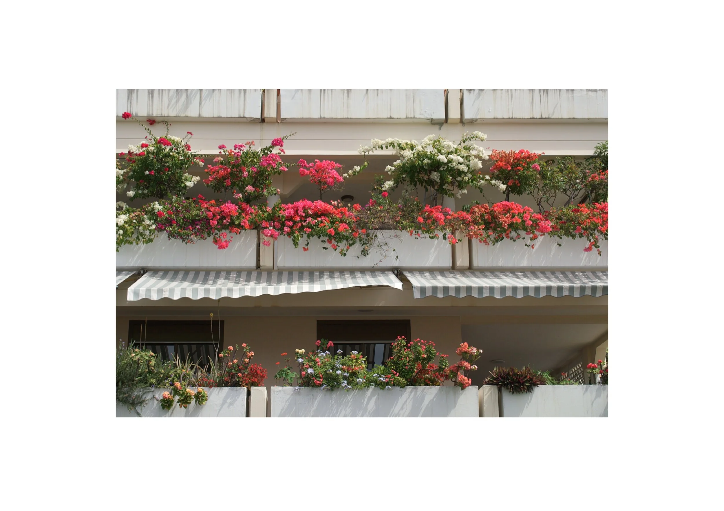  Location- Noumea   Date- 2017 