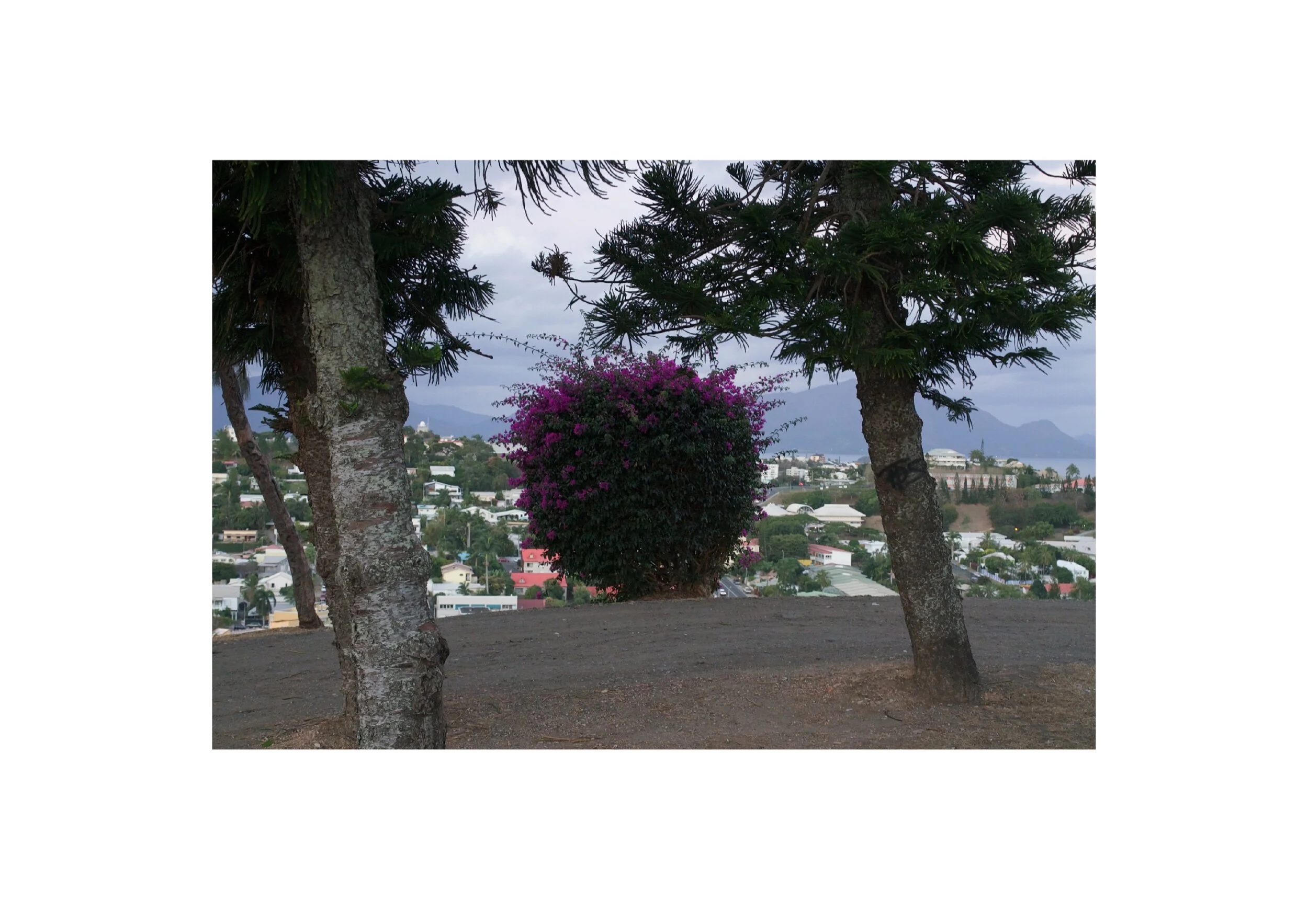  Location- Noumea   Date- 2017 