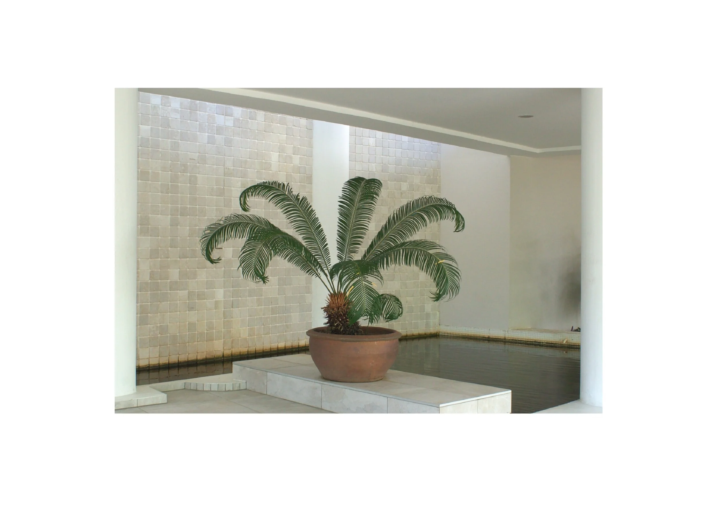  Location- Noumea   Date- 2017 