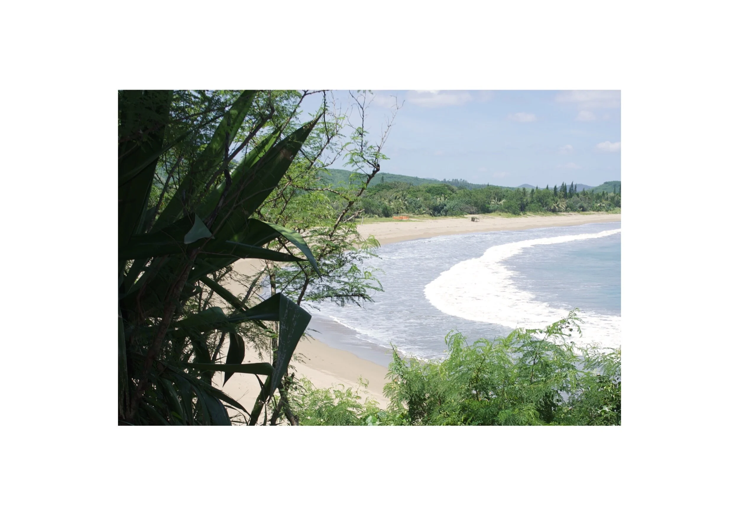  Location- North Noumea   Date- 2017 