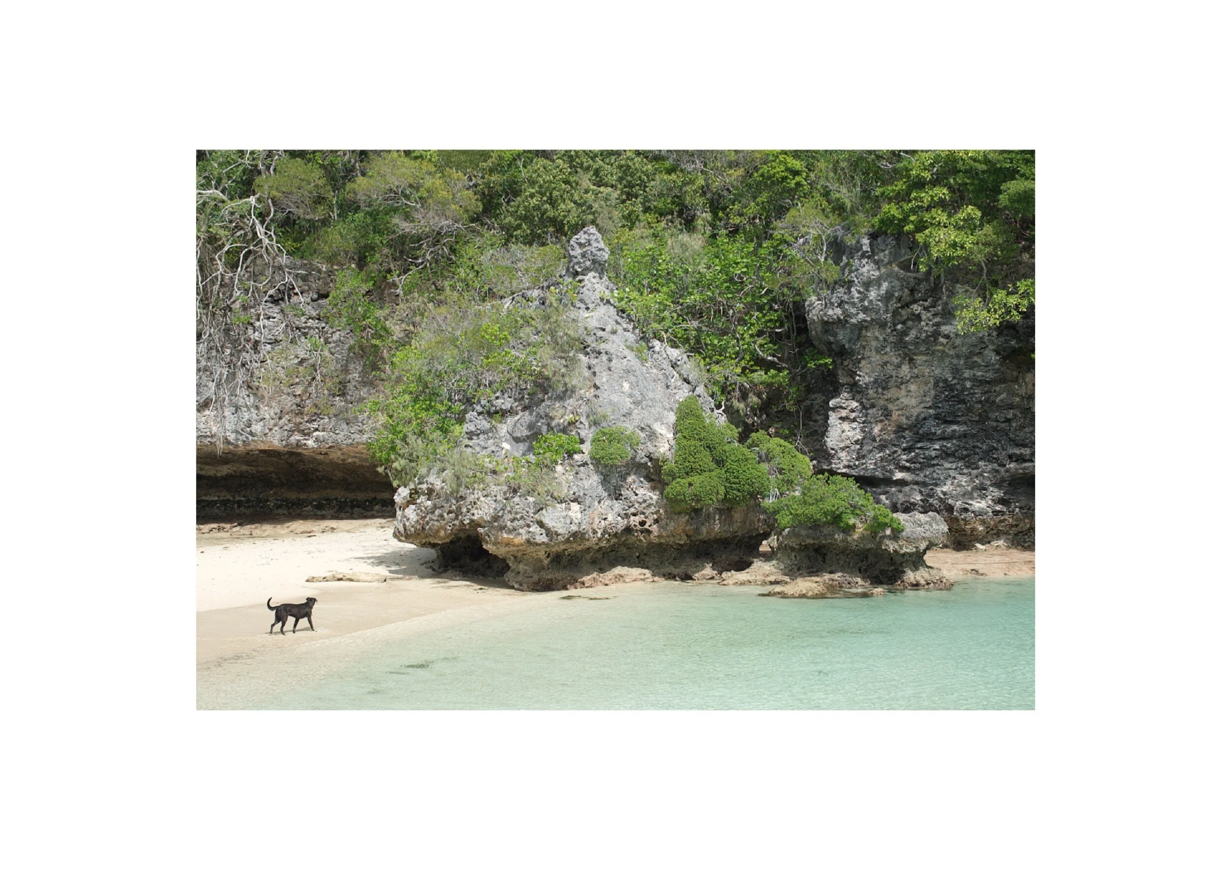  Location- Isle of Pines  Date- 2017 