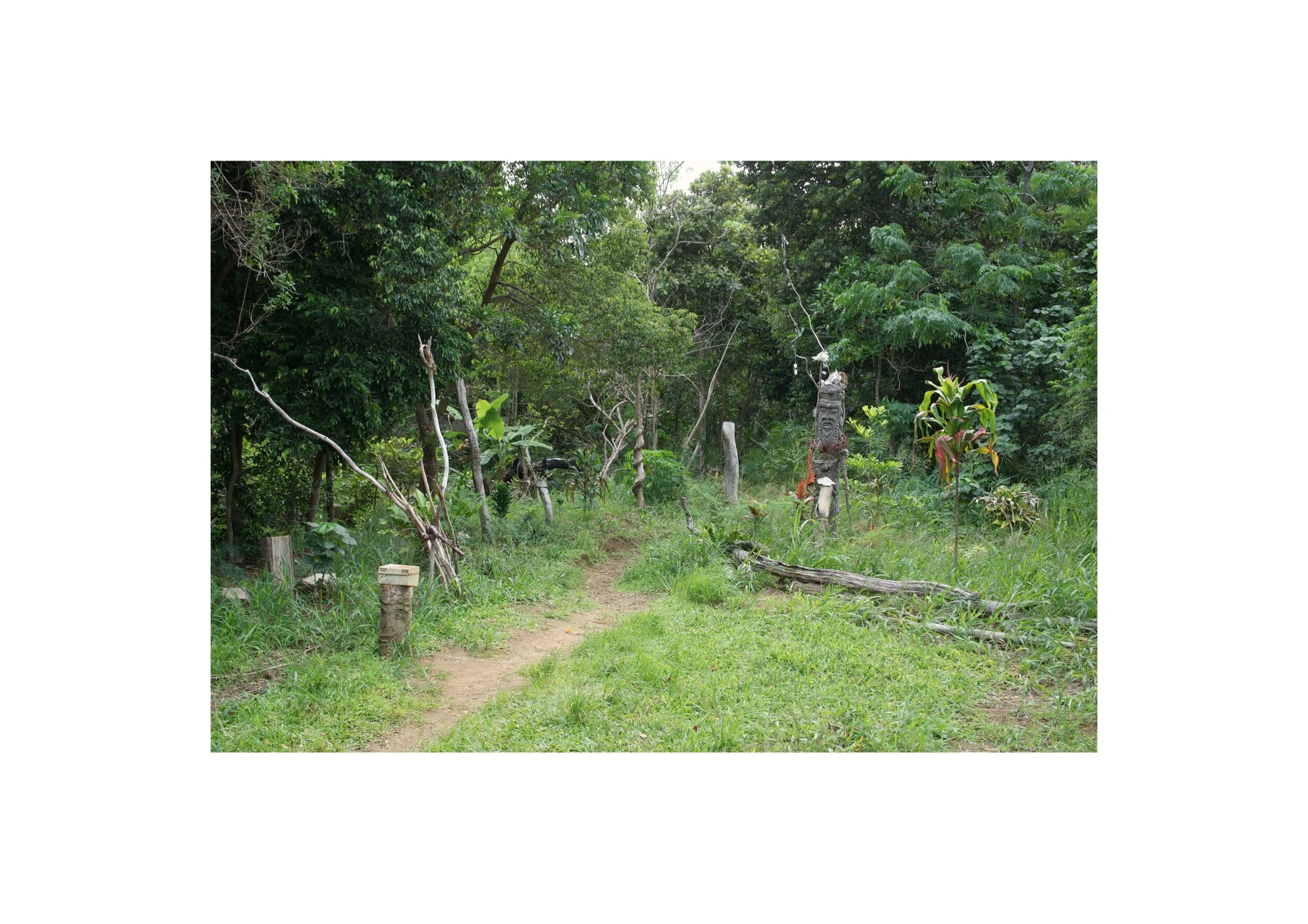  Location- Isle of Pines  Date- 2017 