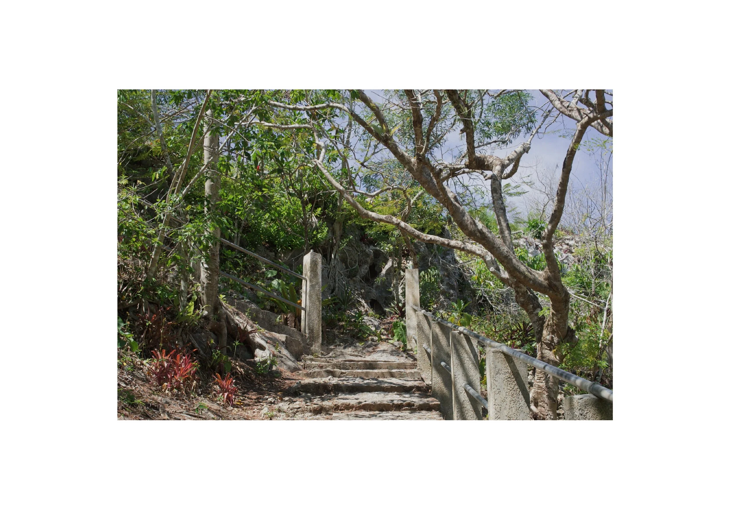  Location- Lifou  Date- 2017 