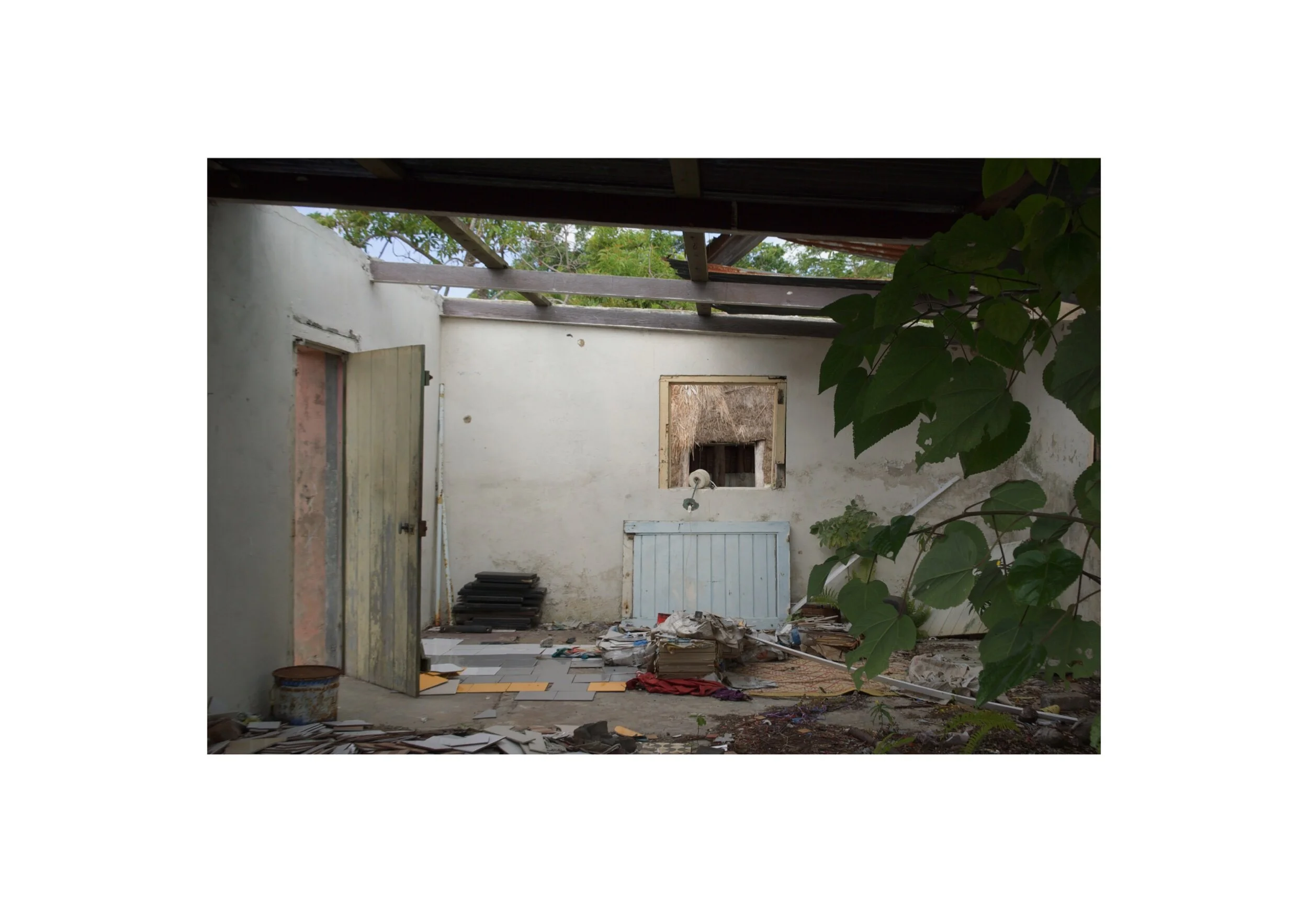  Location- Lifou  Date- 2017 