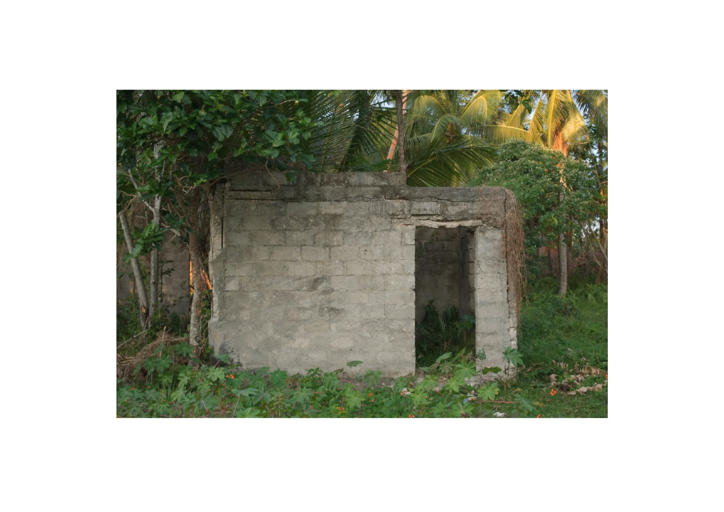  Location- Lifou  Date- 2017 