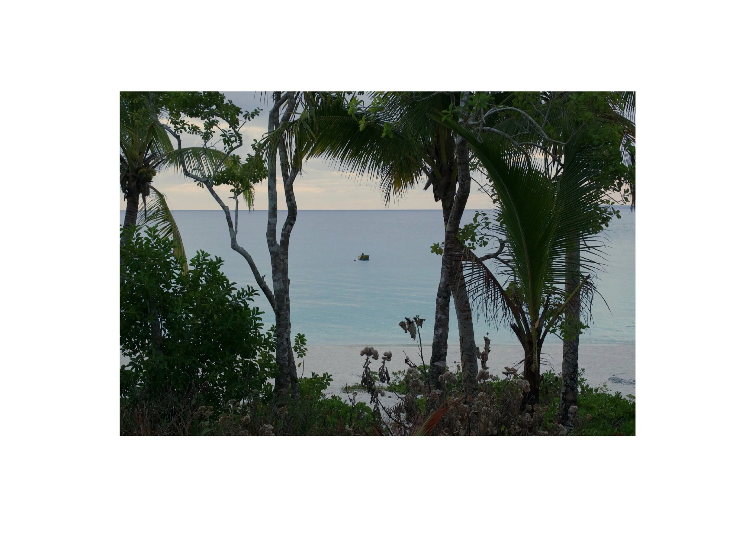  Location- Lifou  Date- 2017 