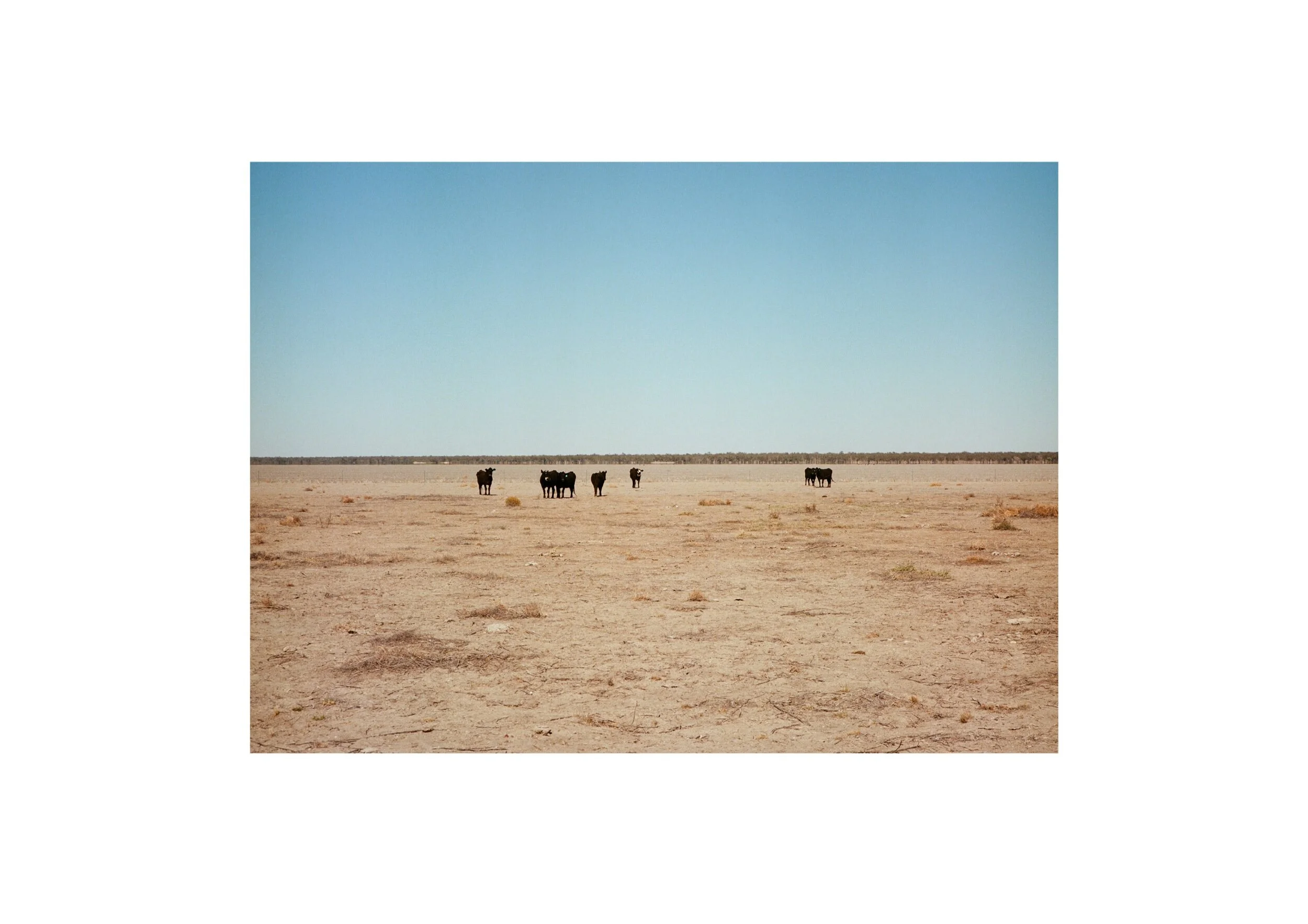 5E6E746E-A79D-4D6C-8B3F-B0D5E1913E74