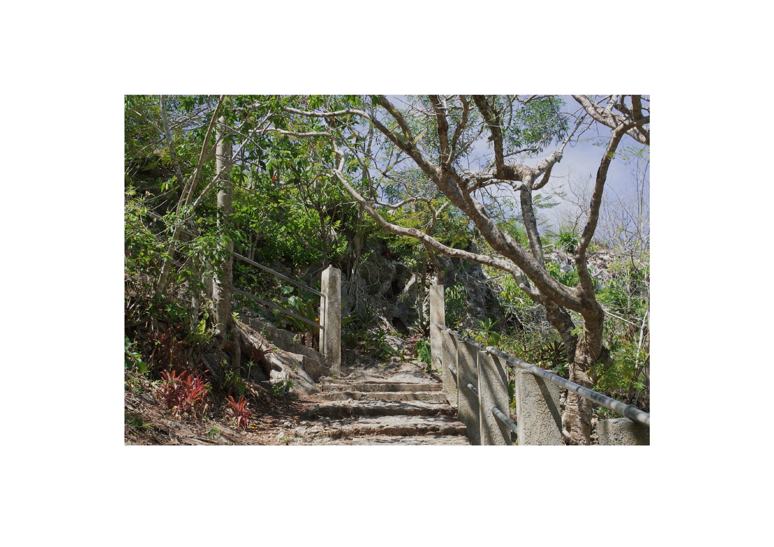 93379C60-E3AC-4C22-B718-60743FA5CEDE