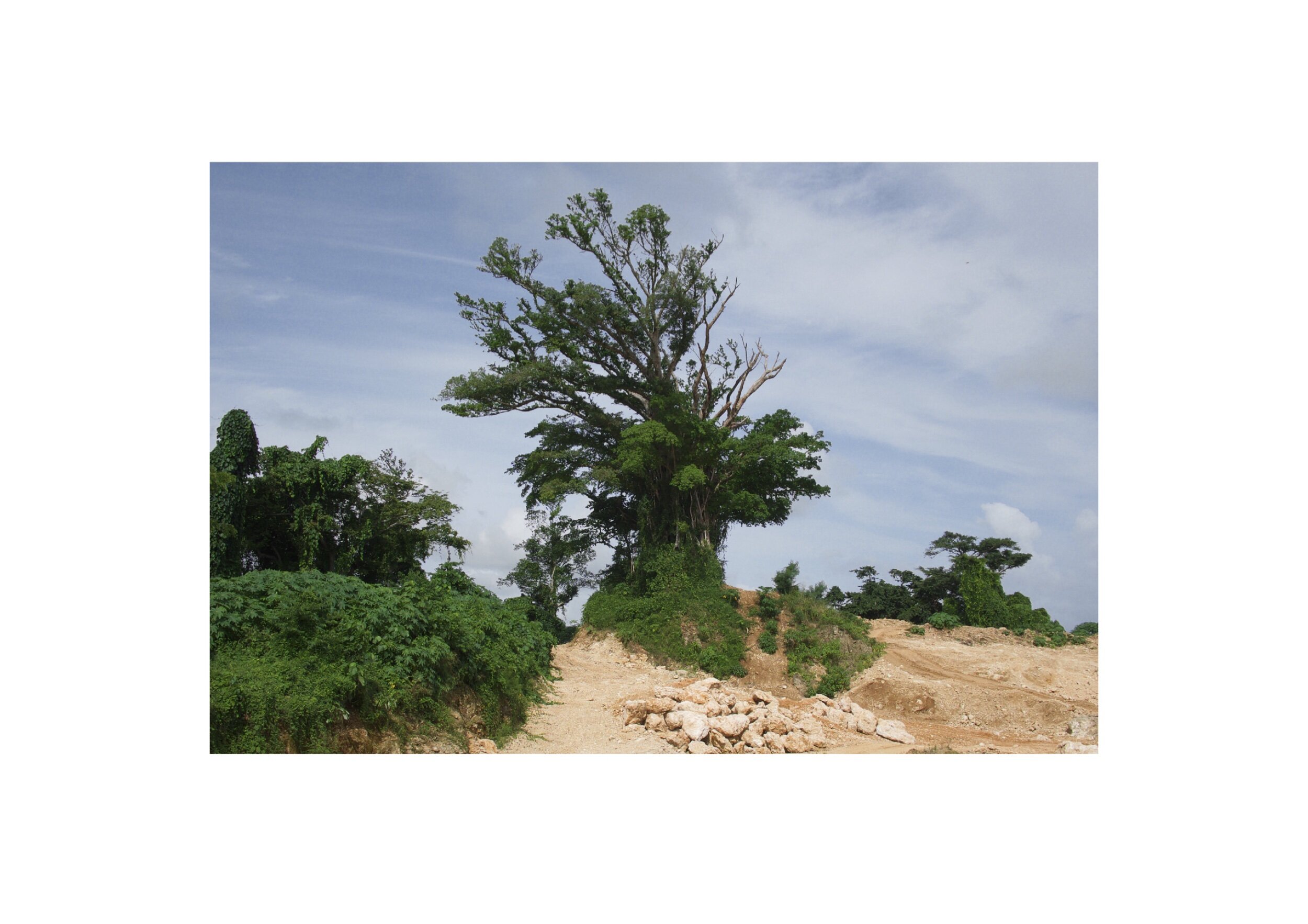 EFDF23AC-651C-4979-A0E8-6C17CB1F0C98