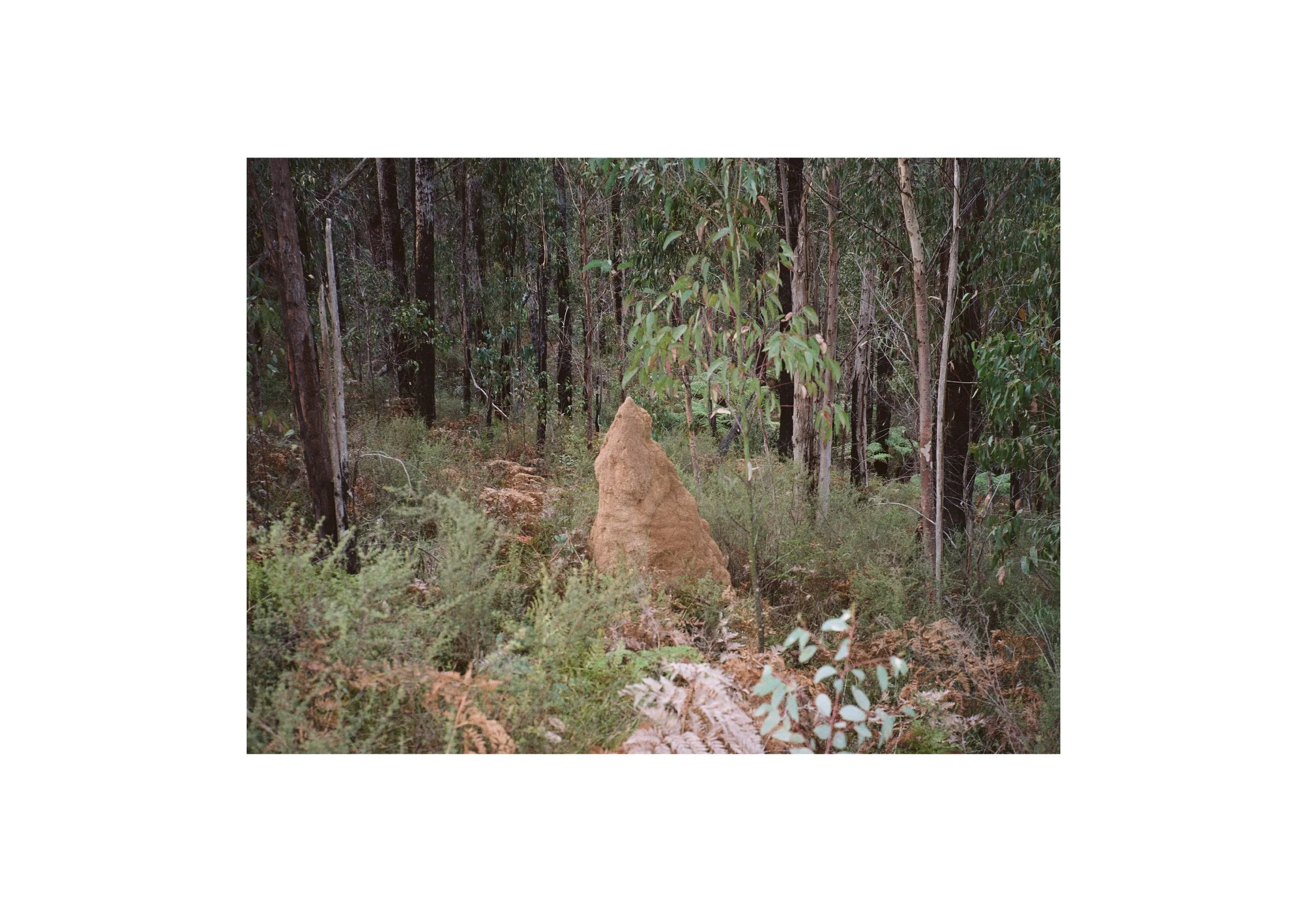 Gippsland_May-August__2022_Part_1 2.jpg