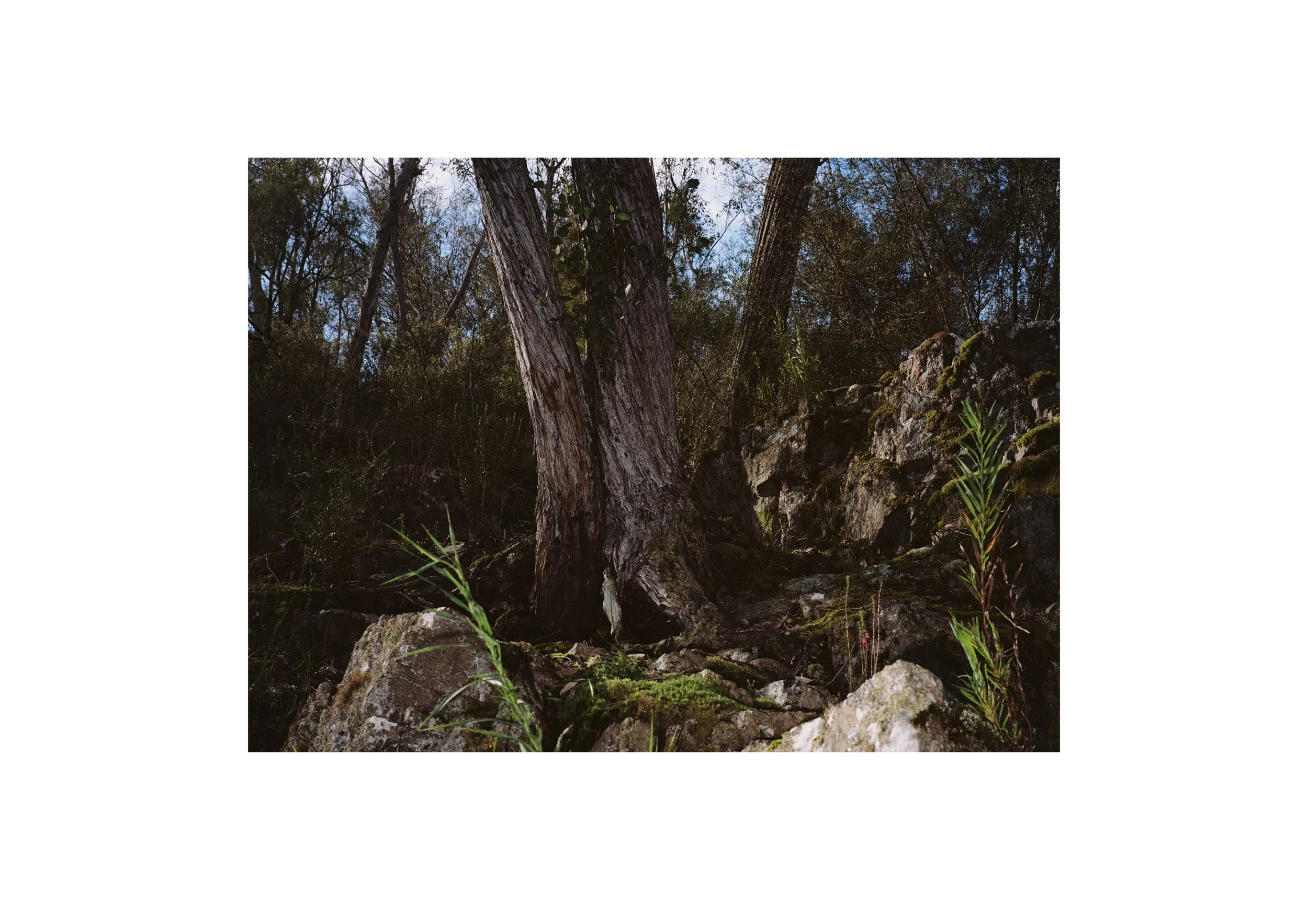 Gippsland_May-August__2022_Part_1 6.jpg