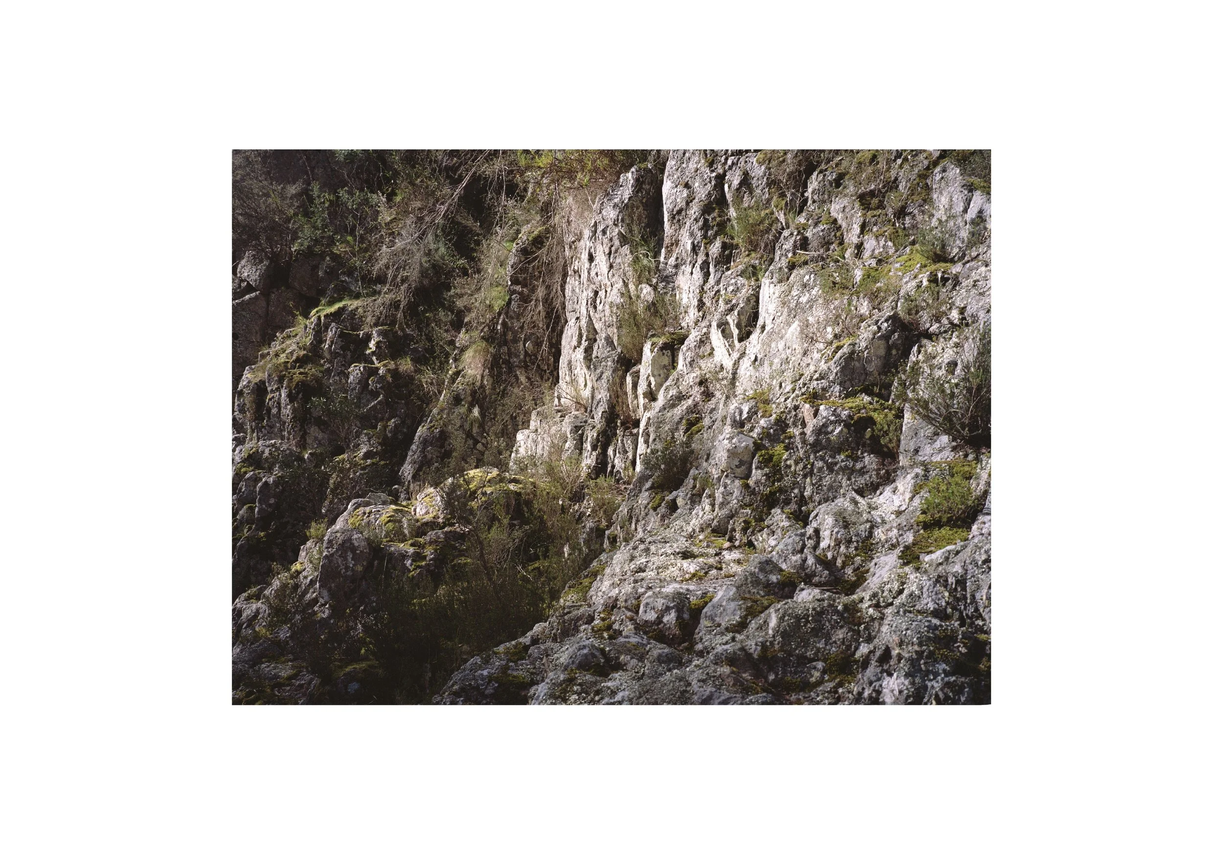 Gippsland_May-August__2022_Part_1 7.jpg