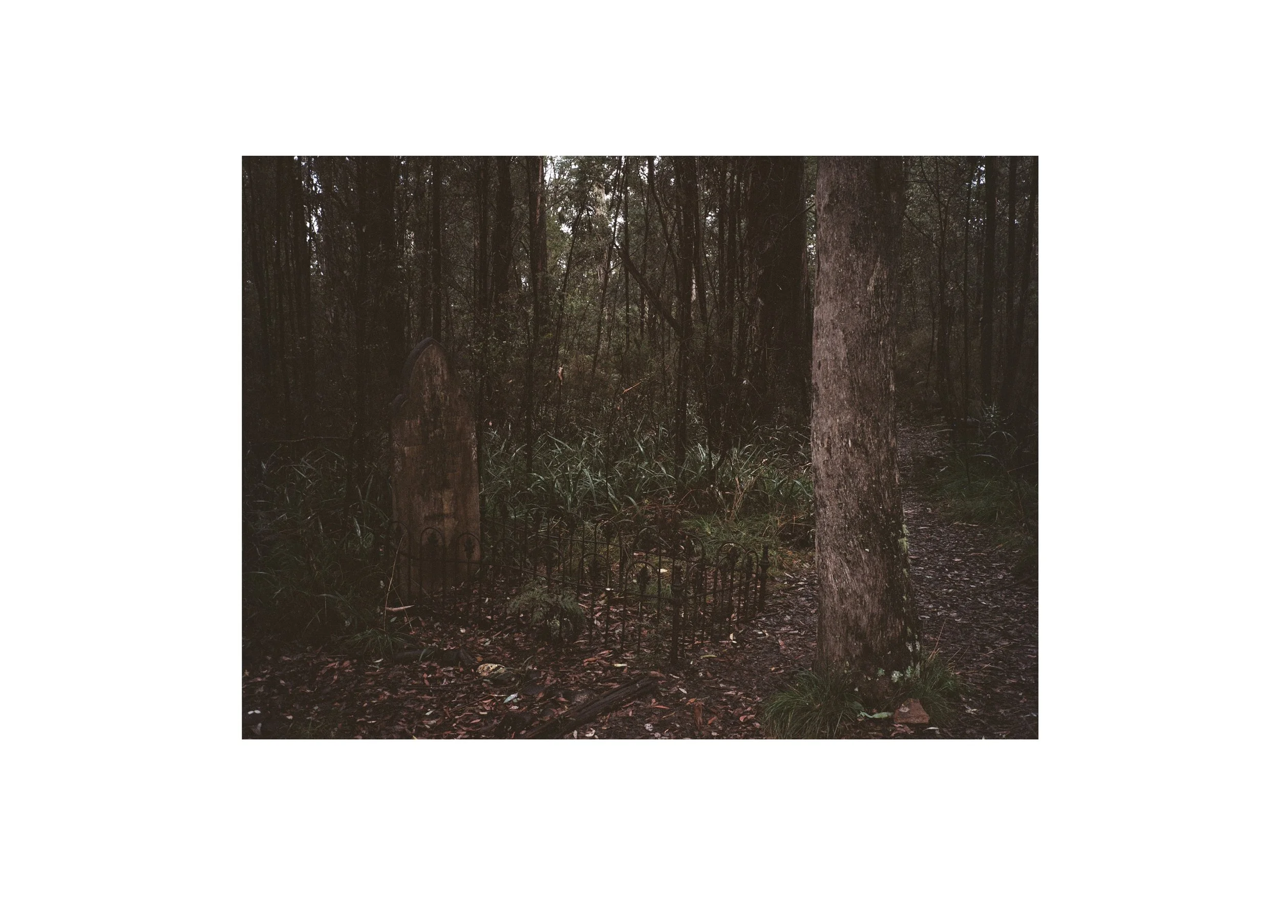 Gippsland_May-August__2022_Part_1 8.jpg