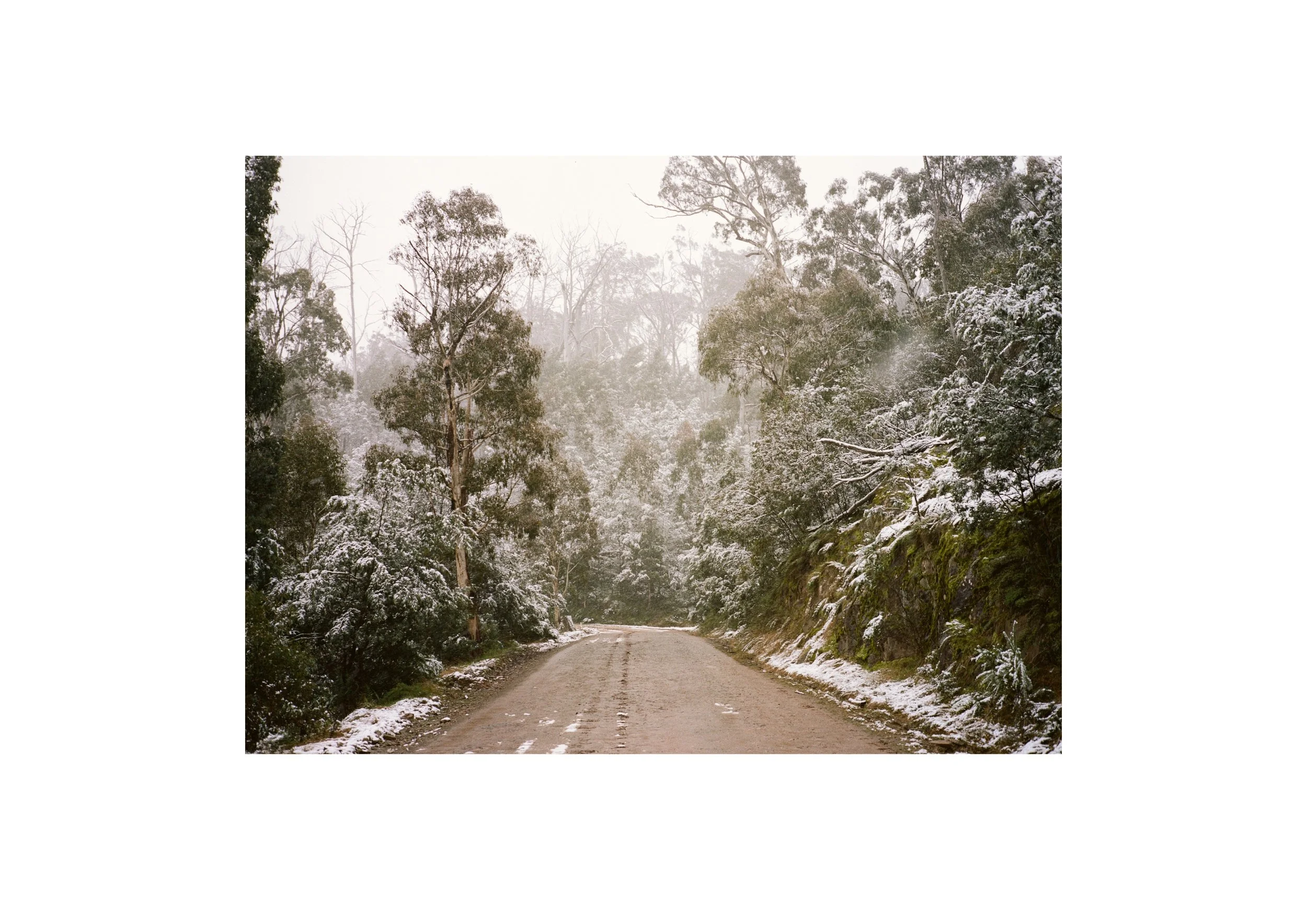 Gippsland_May-August__2022_Part_1 9.jpg