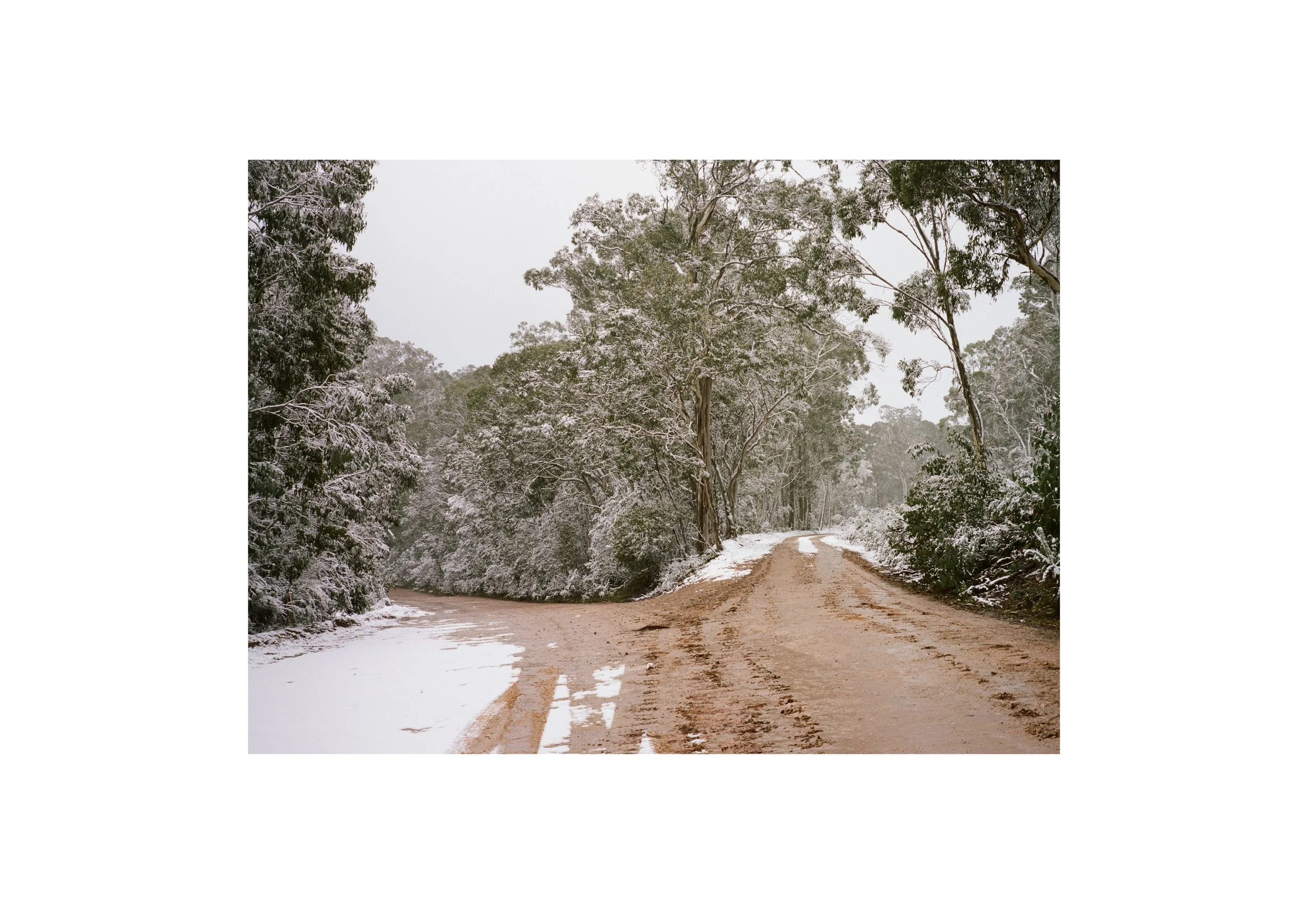 Gippsland_May-August__2022_Part_1 10.jpg