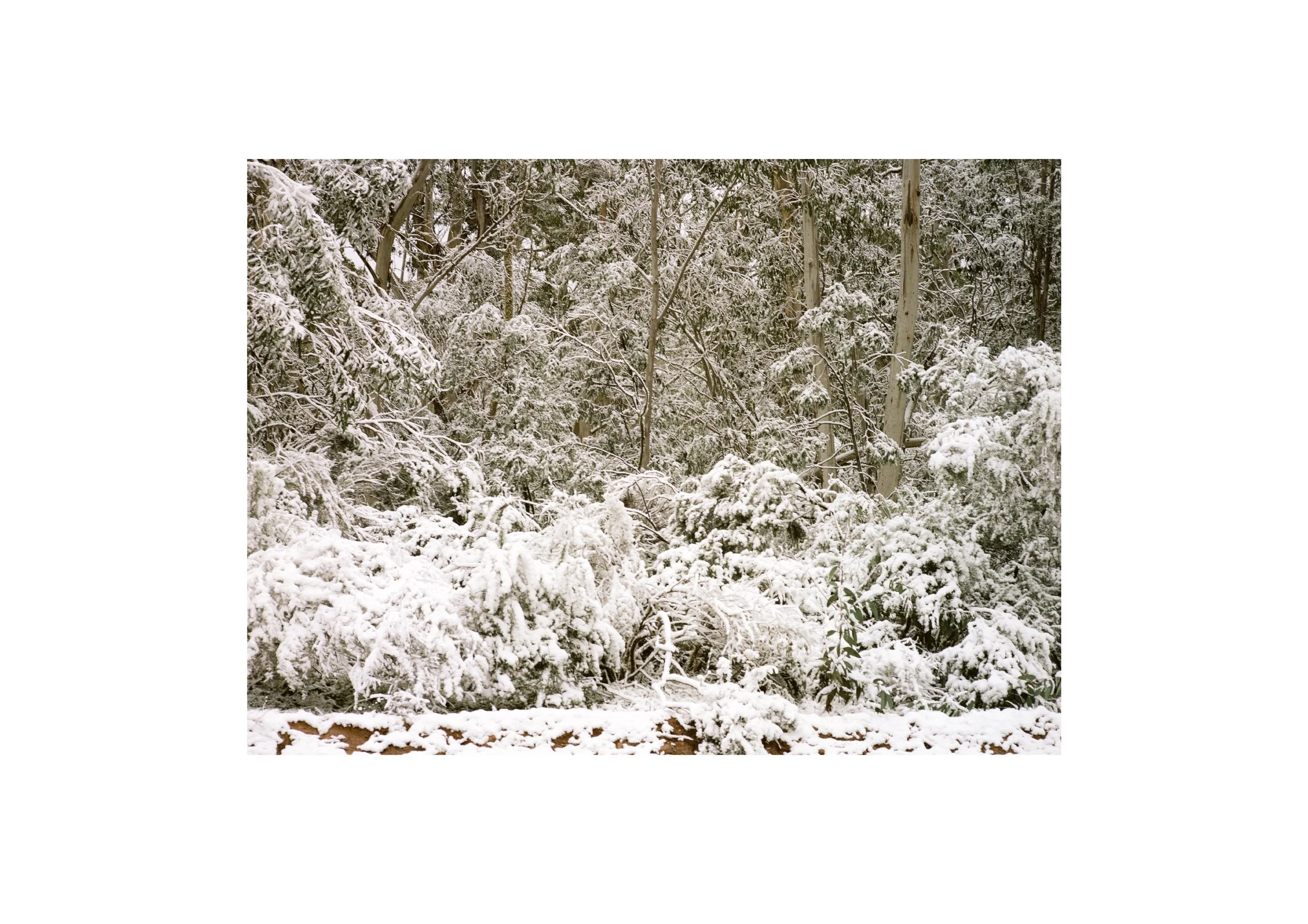 Gippsland_May-August__2022_Part_1 11.jpg