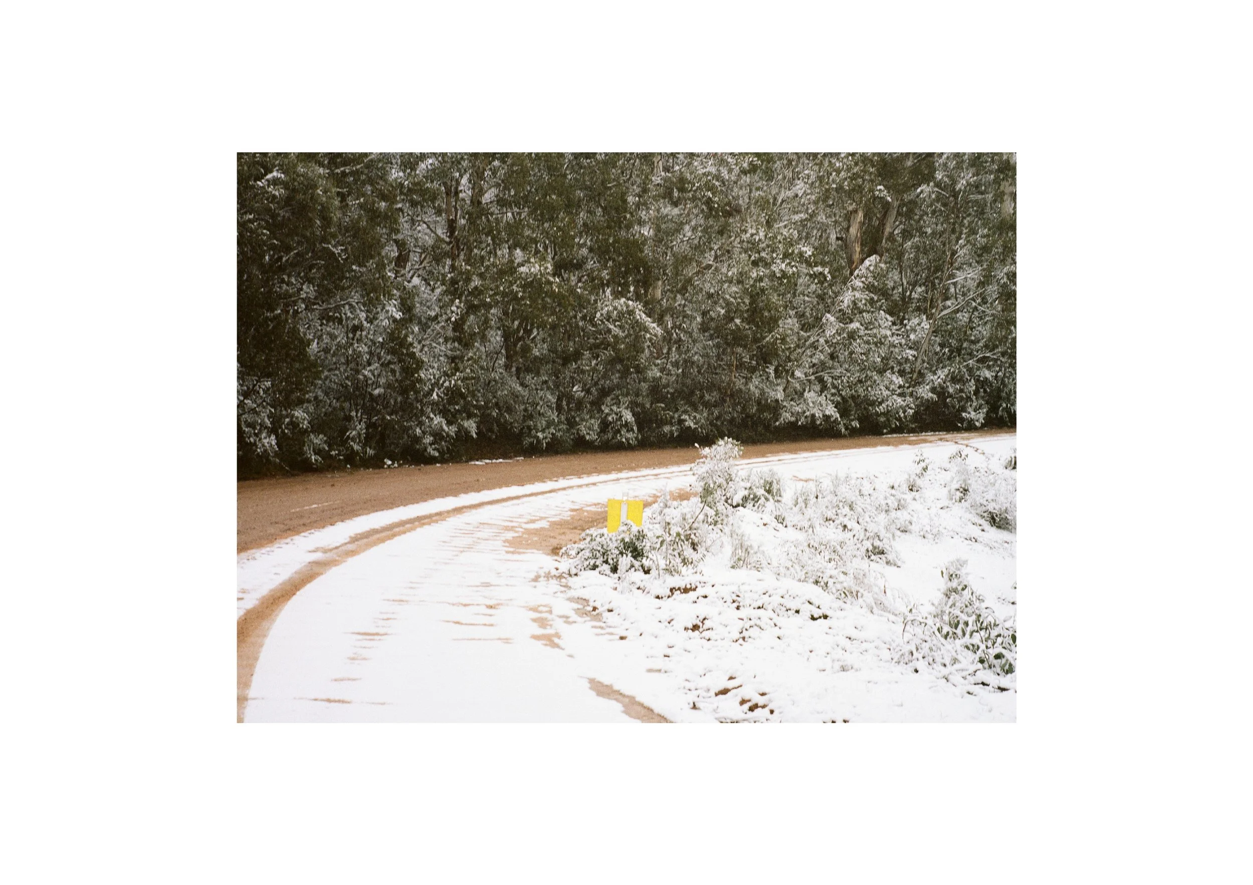 Gippsland_May-August__2022_Part_1 12.jpg