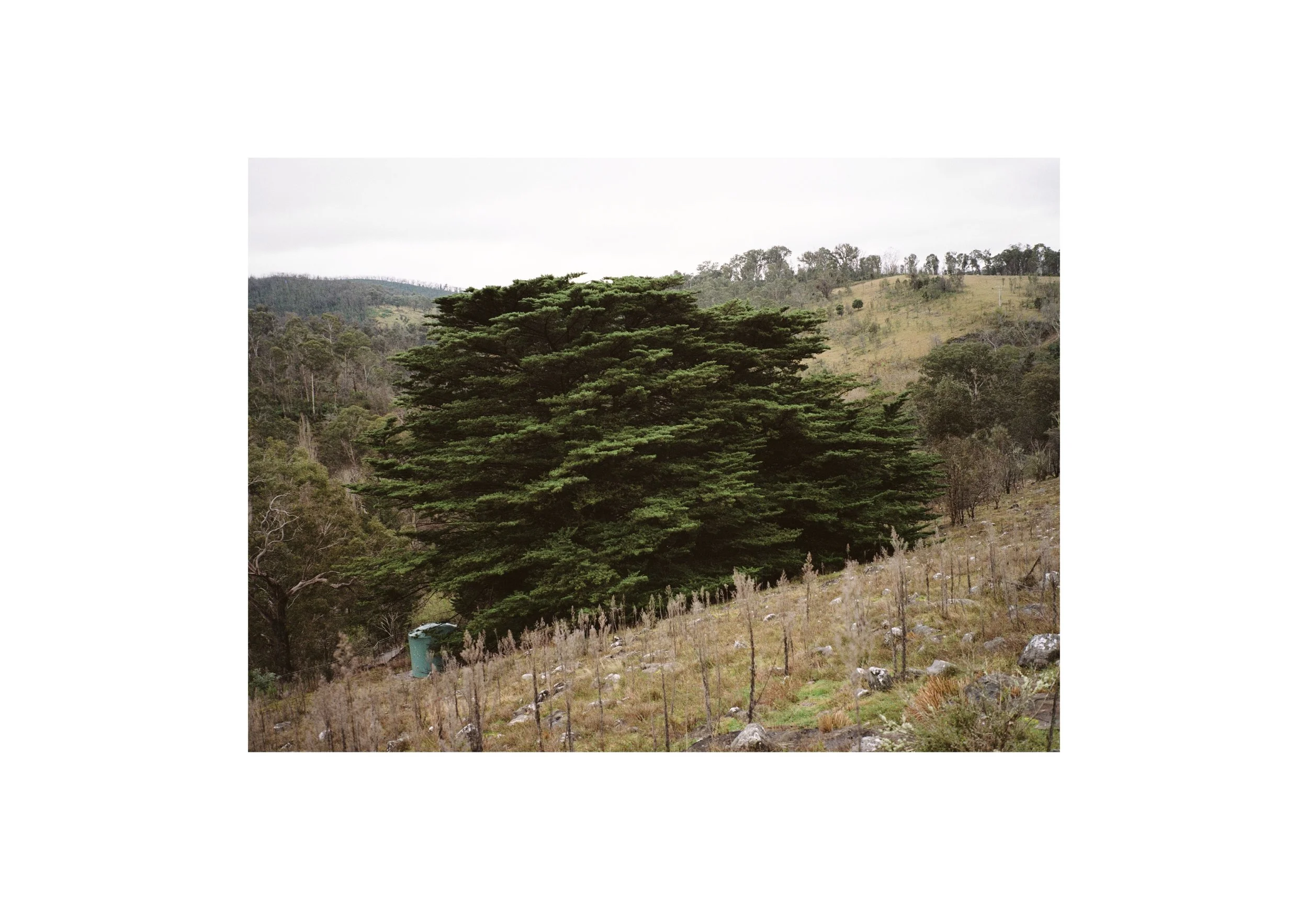 Gippsland_May-August__2022_Part_1 15.jpg