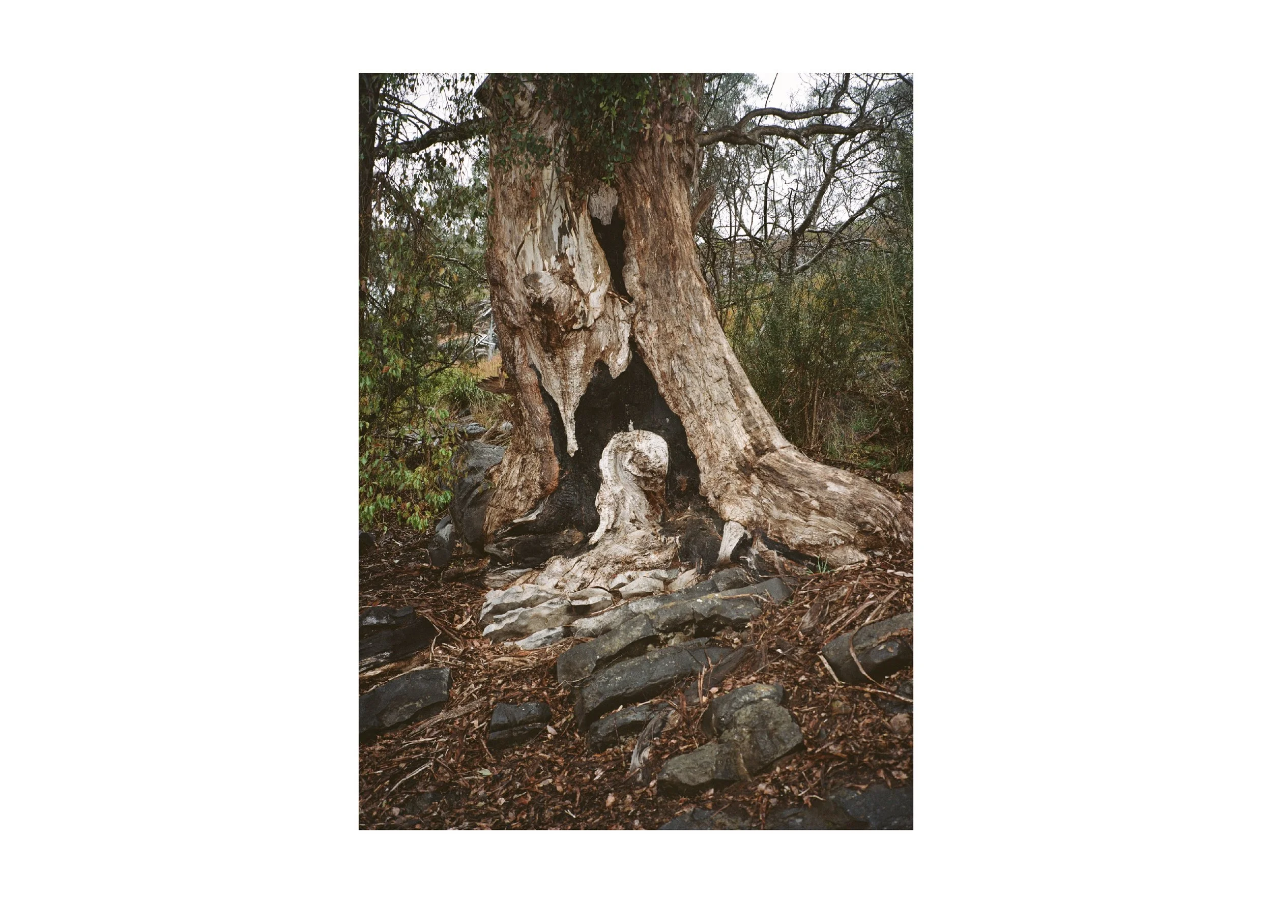 Gippsland_May-August__2022_Part_1 18.jpg