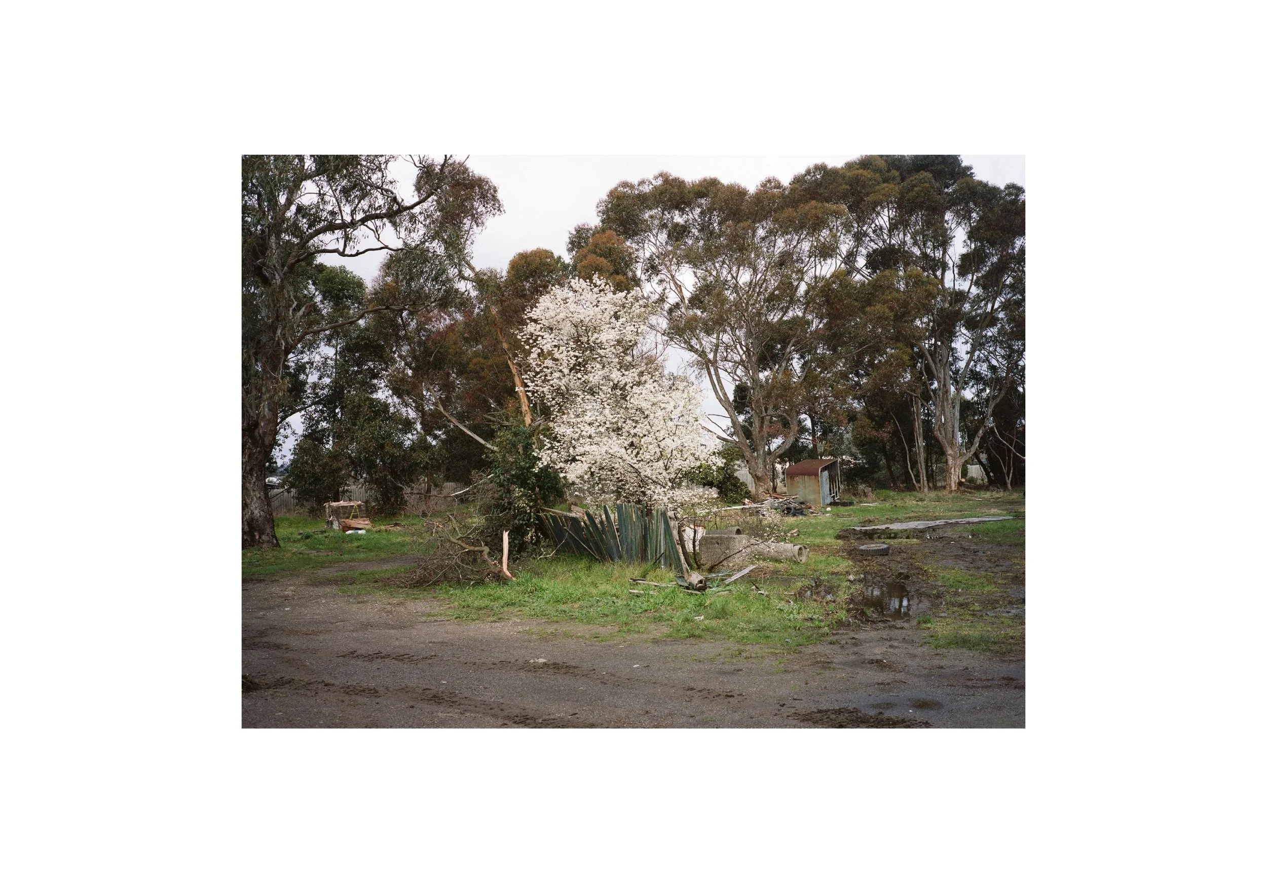 Gippsland_May-August__2022_Part_1 20.jpg